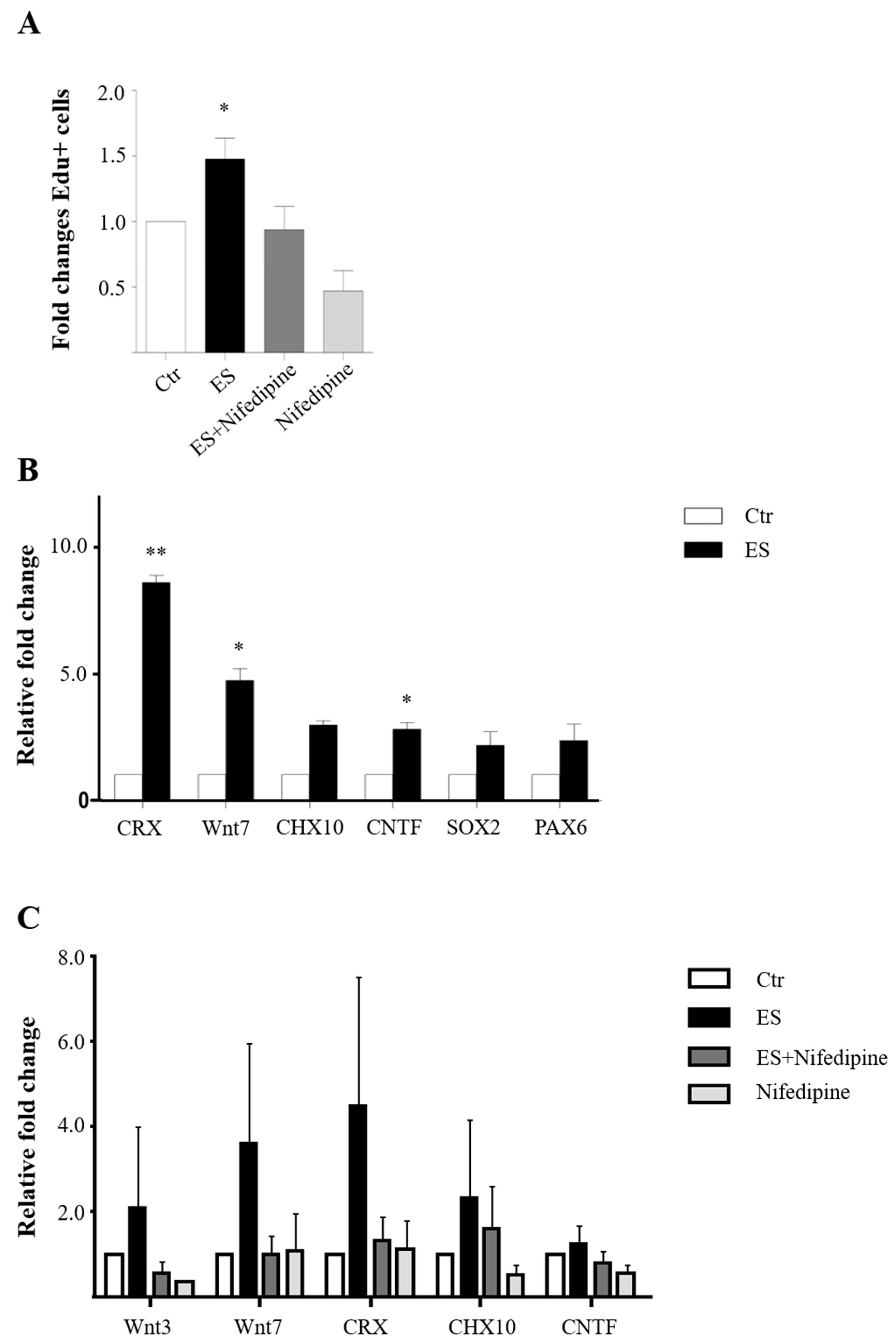 Cells 09 00781 g005 Cells 09 00781 g005