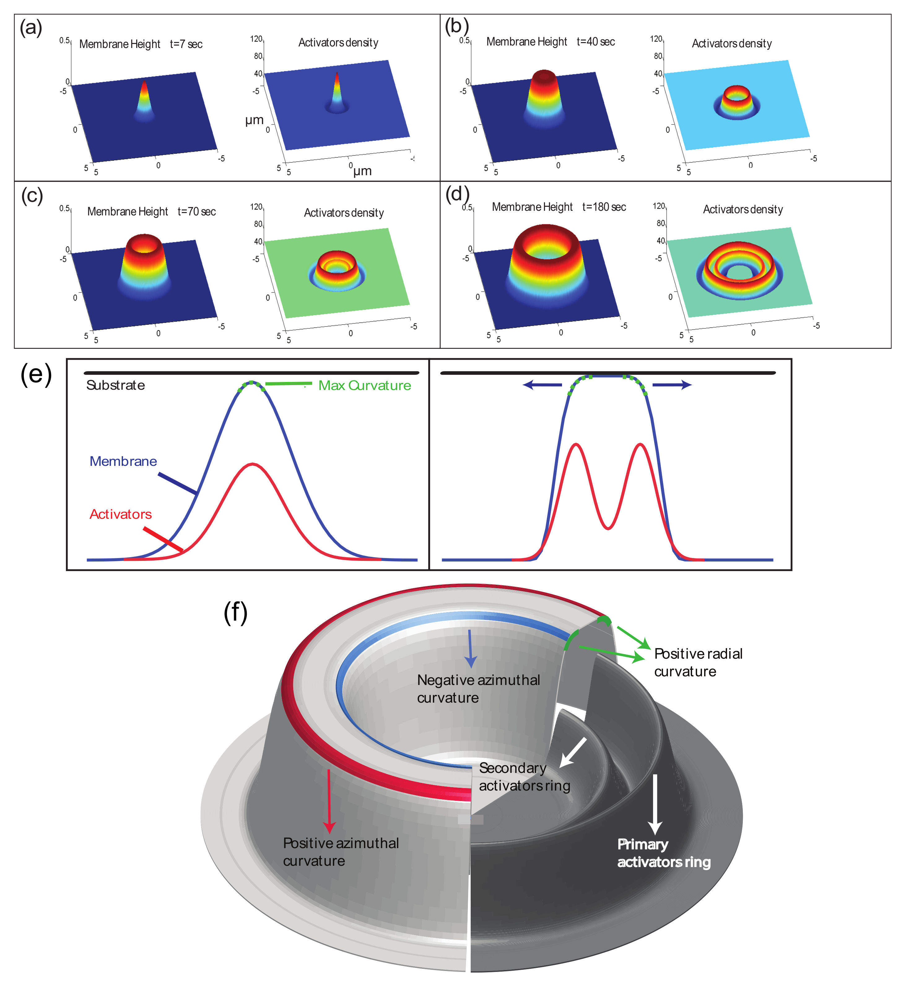 Cells 09 00782 g001 Cells 09 00782 g001