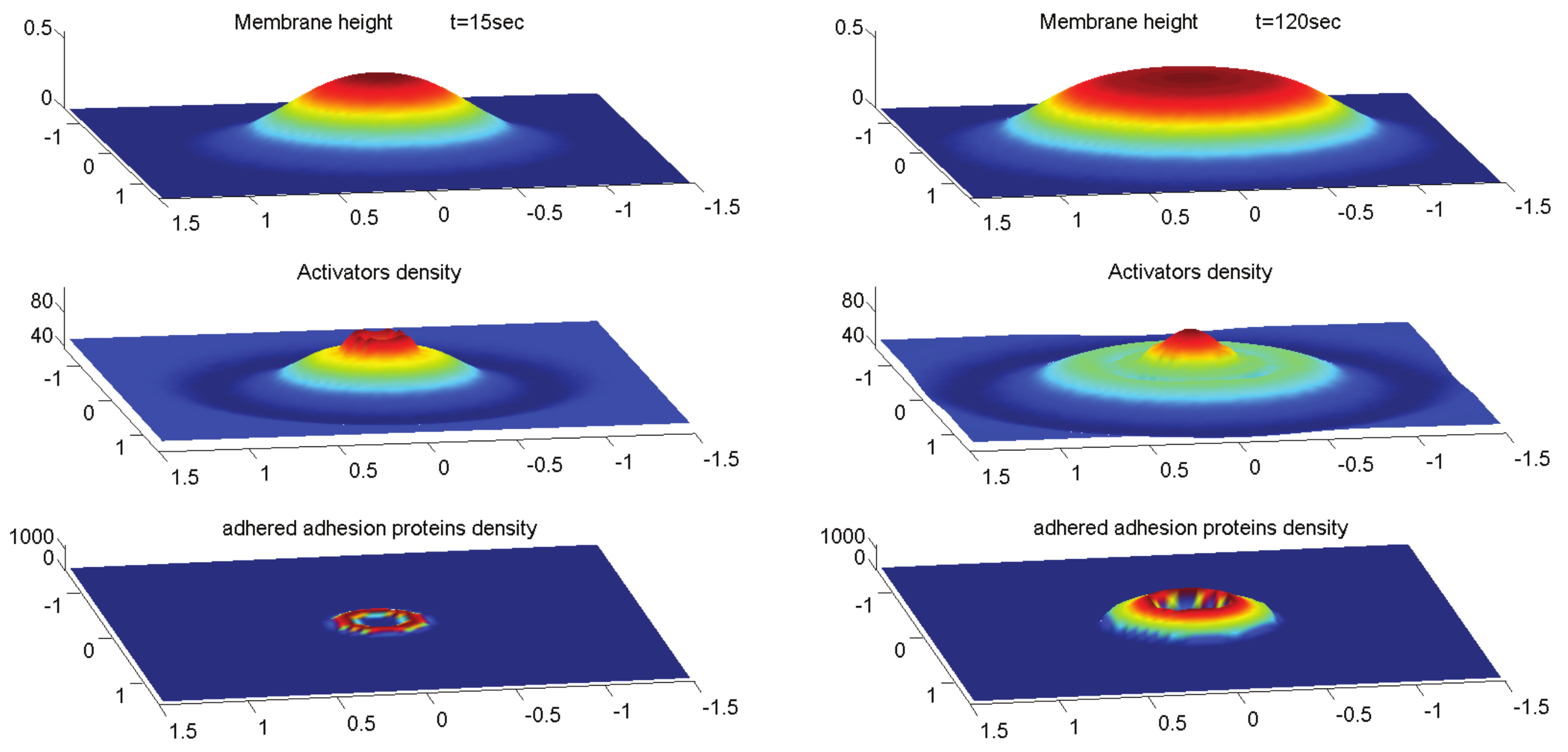 Cells 09 00782 g007 Cells 09 00782 g007