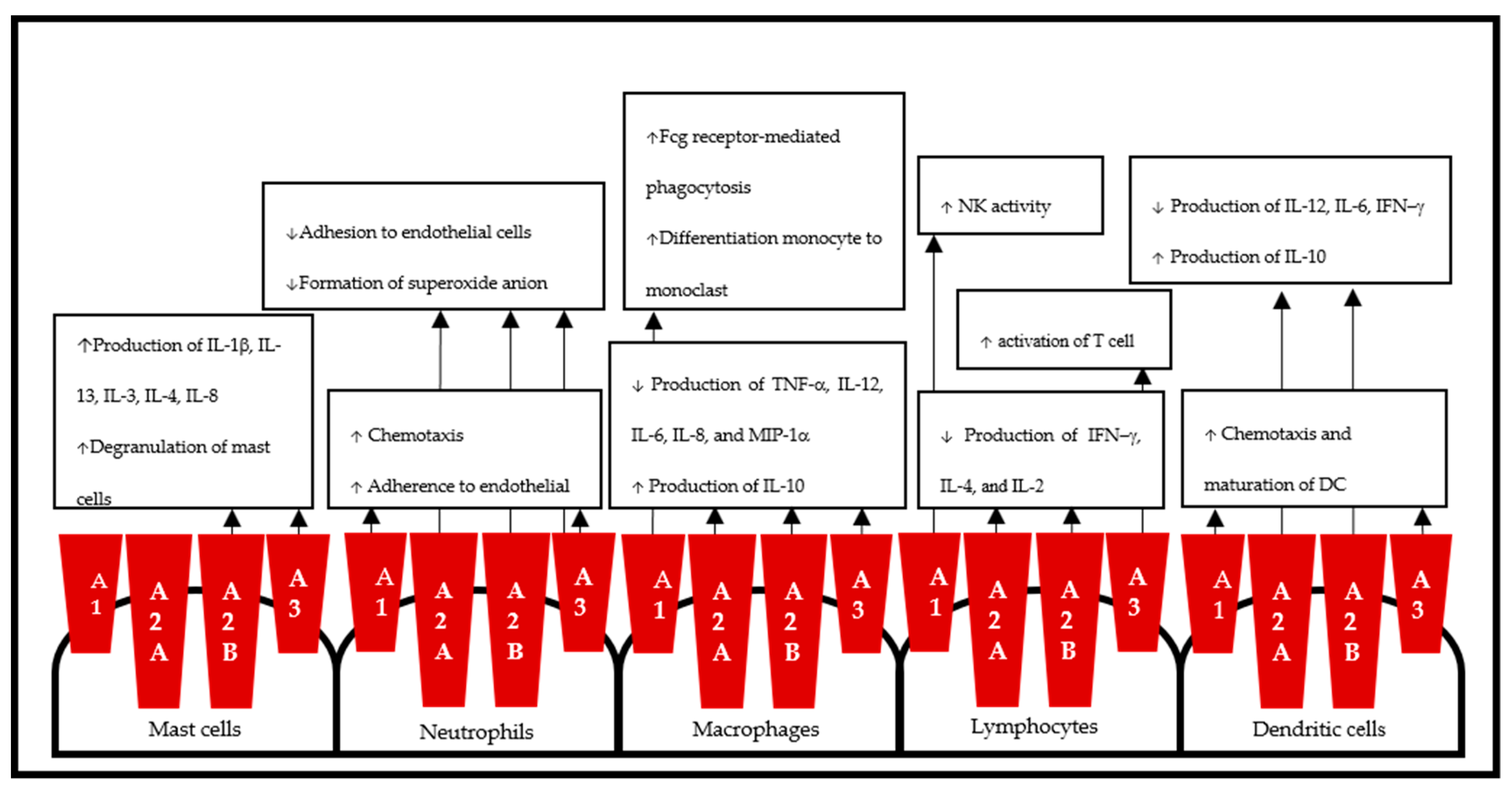 Cells 09 00785 g002 Cells 09 00785 g002