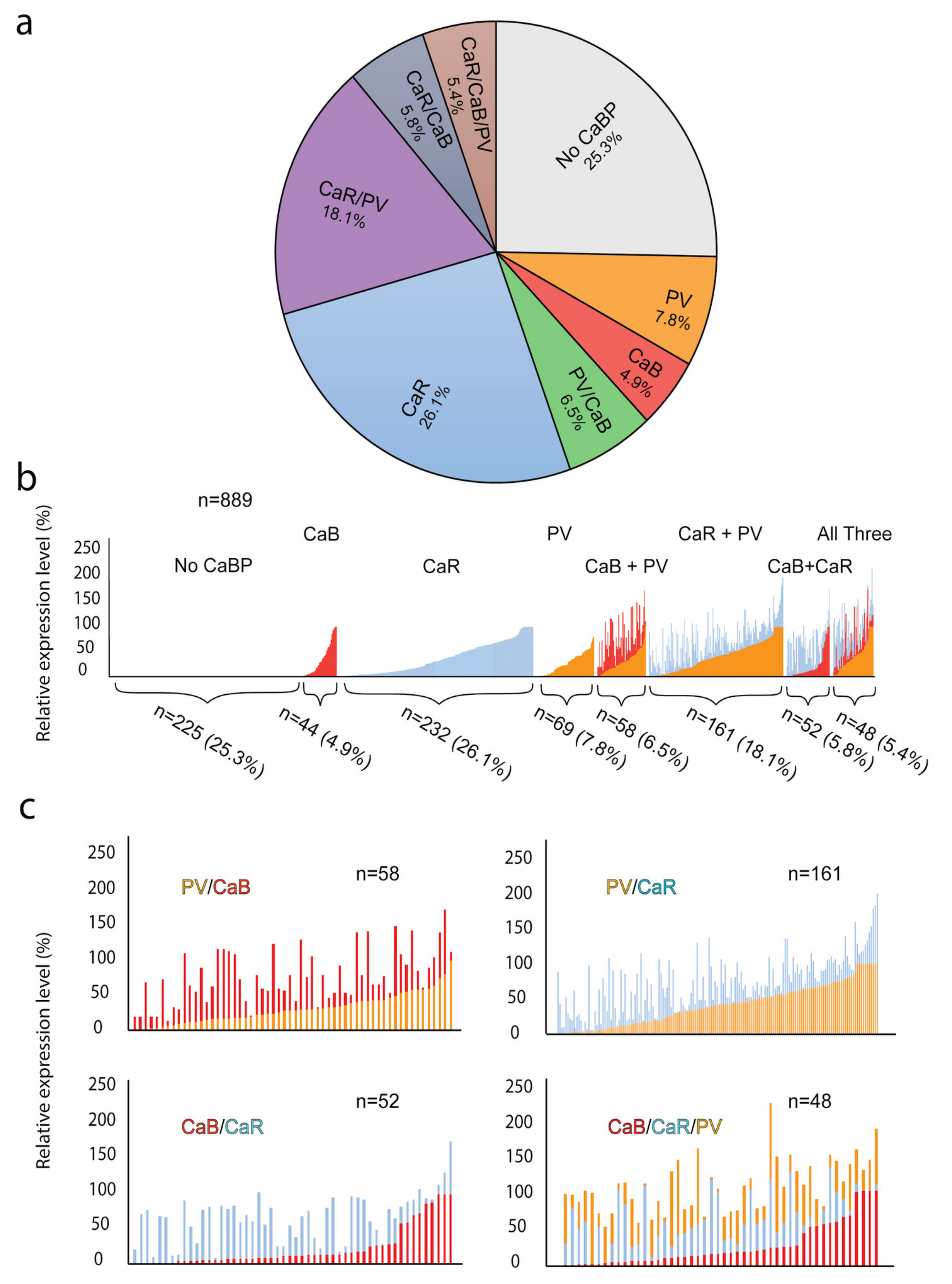 Cells 09 00792 g007 Cells 09 00792 g007