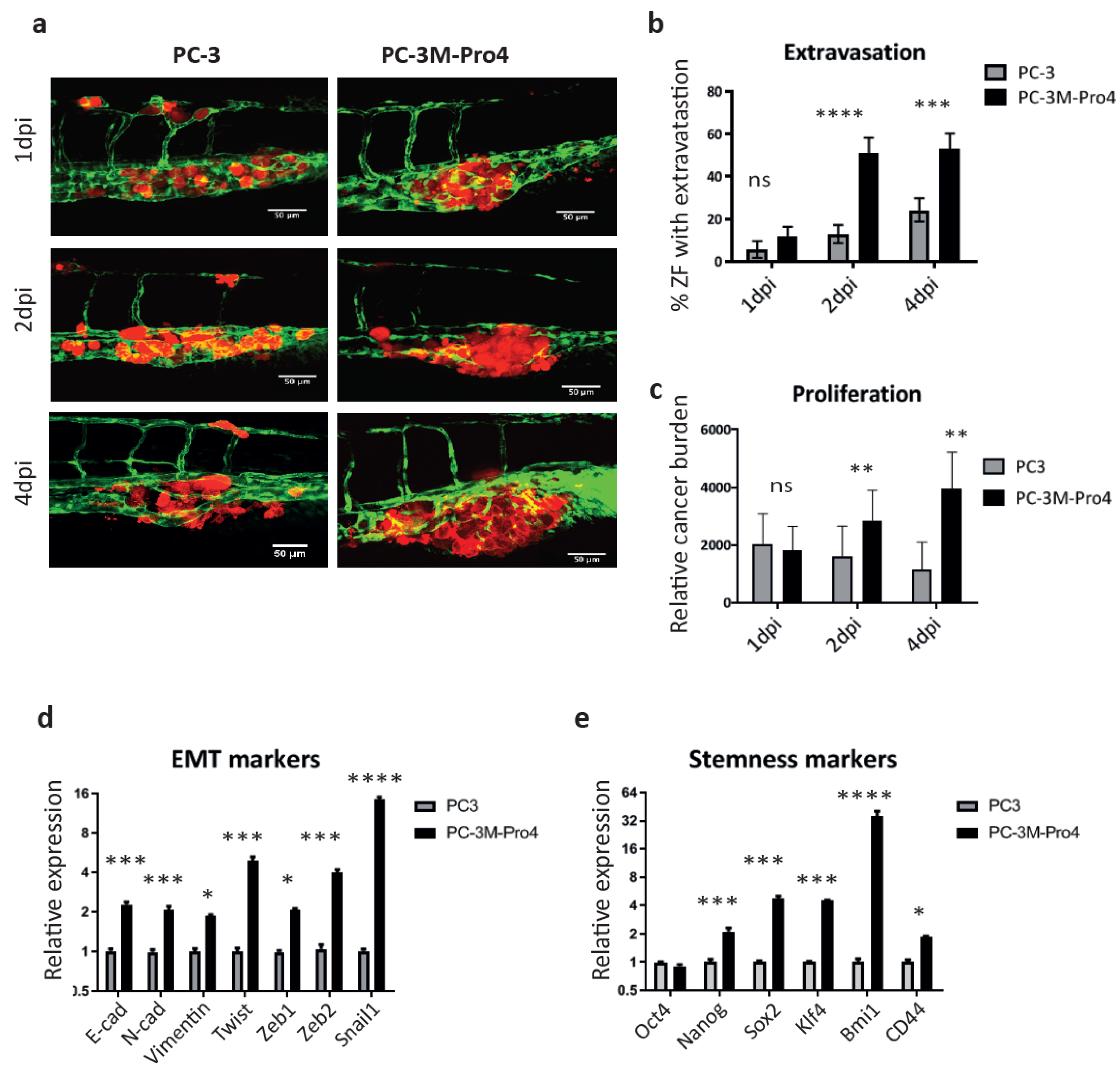 Cells 09 00797 g002 Cells 09 00797 g002