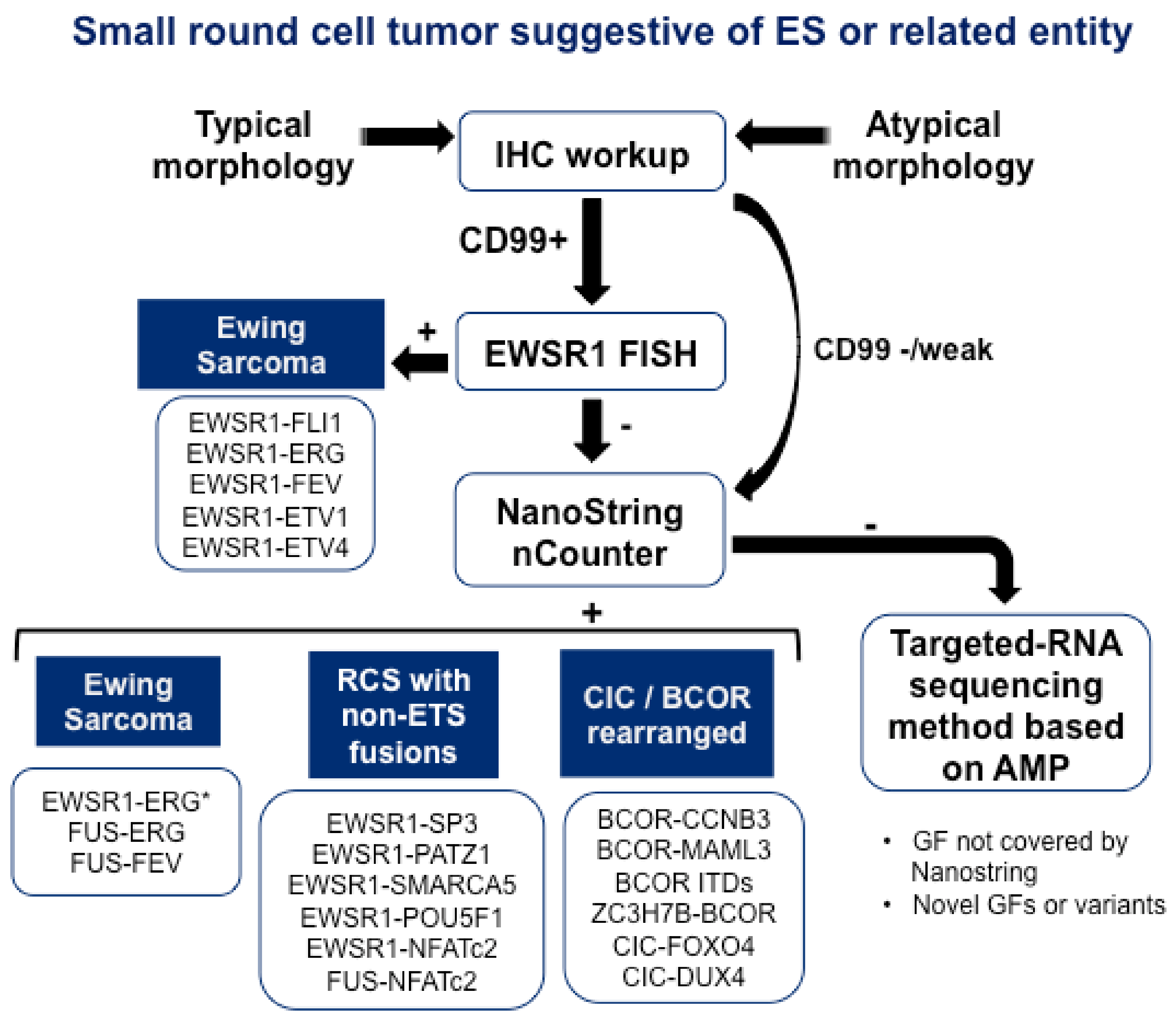 Cells 09 00804 g002 Cells 09 00804 g002