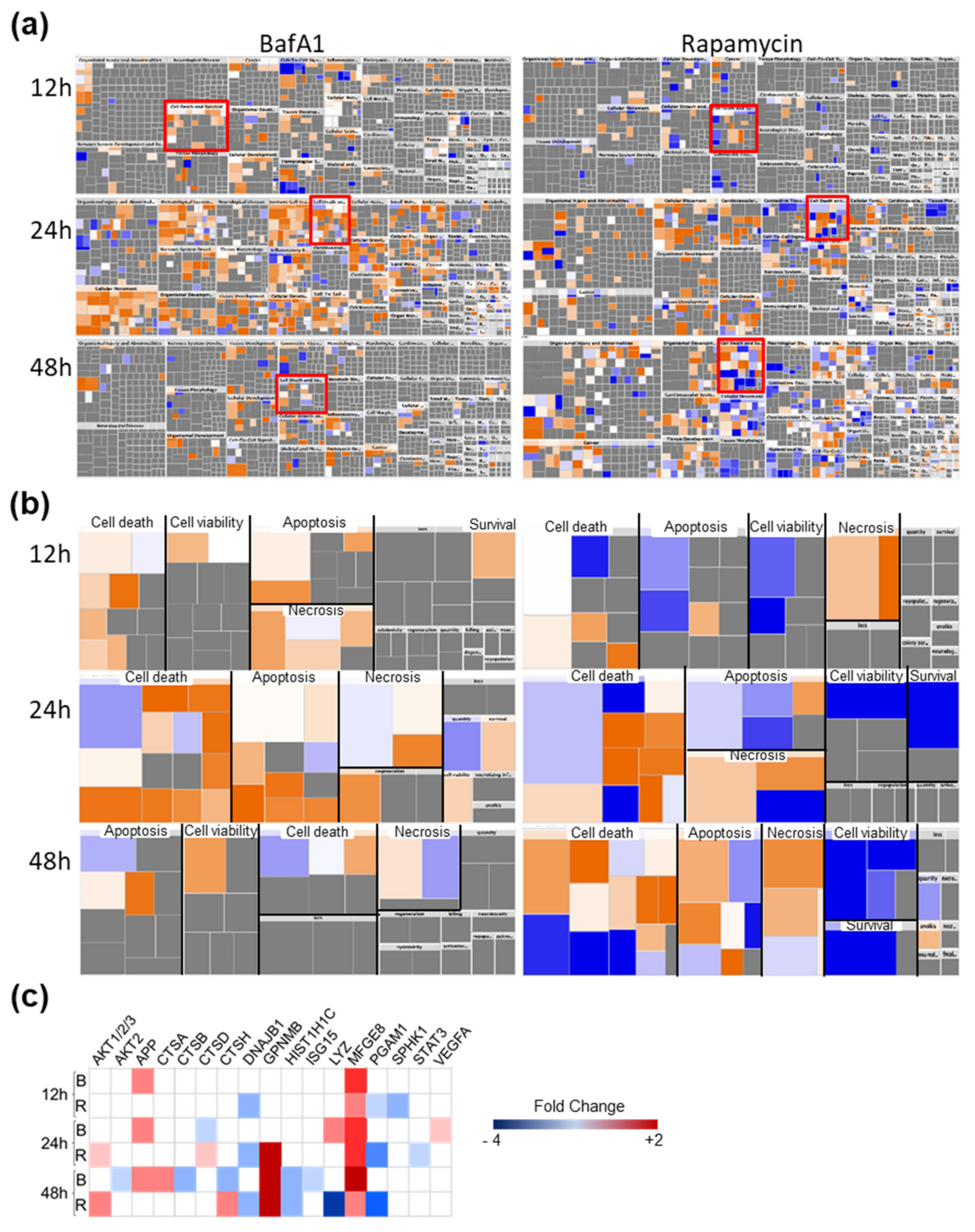 Cells 09 00805 g003 Cells 09 00805 g003