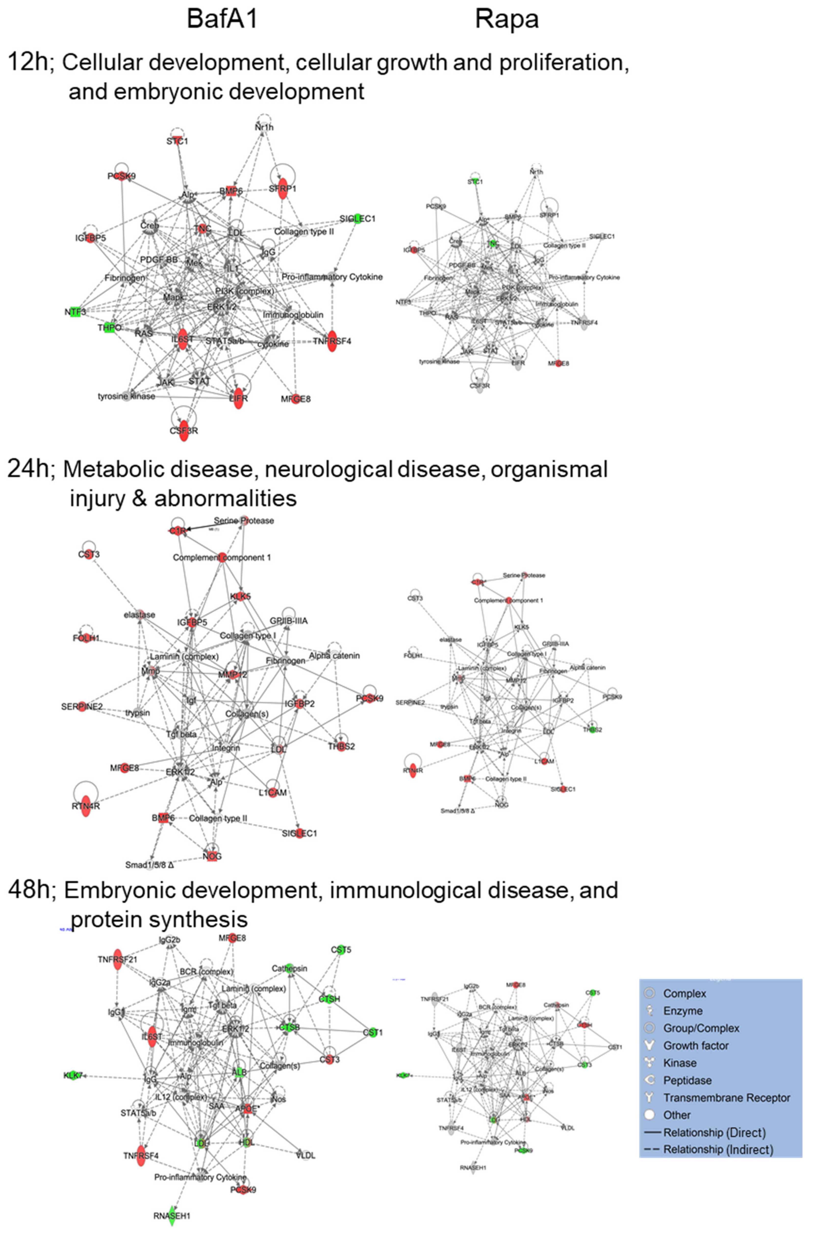 Cells 09 00805 g004 Cells 09 00805 g004