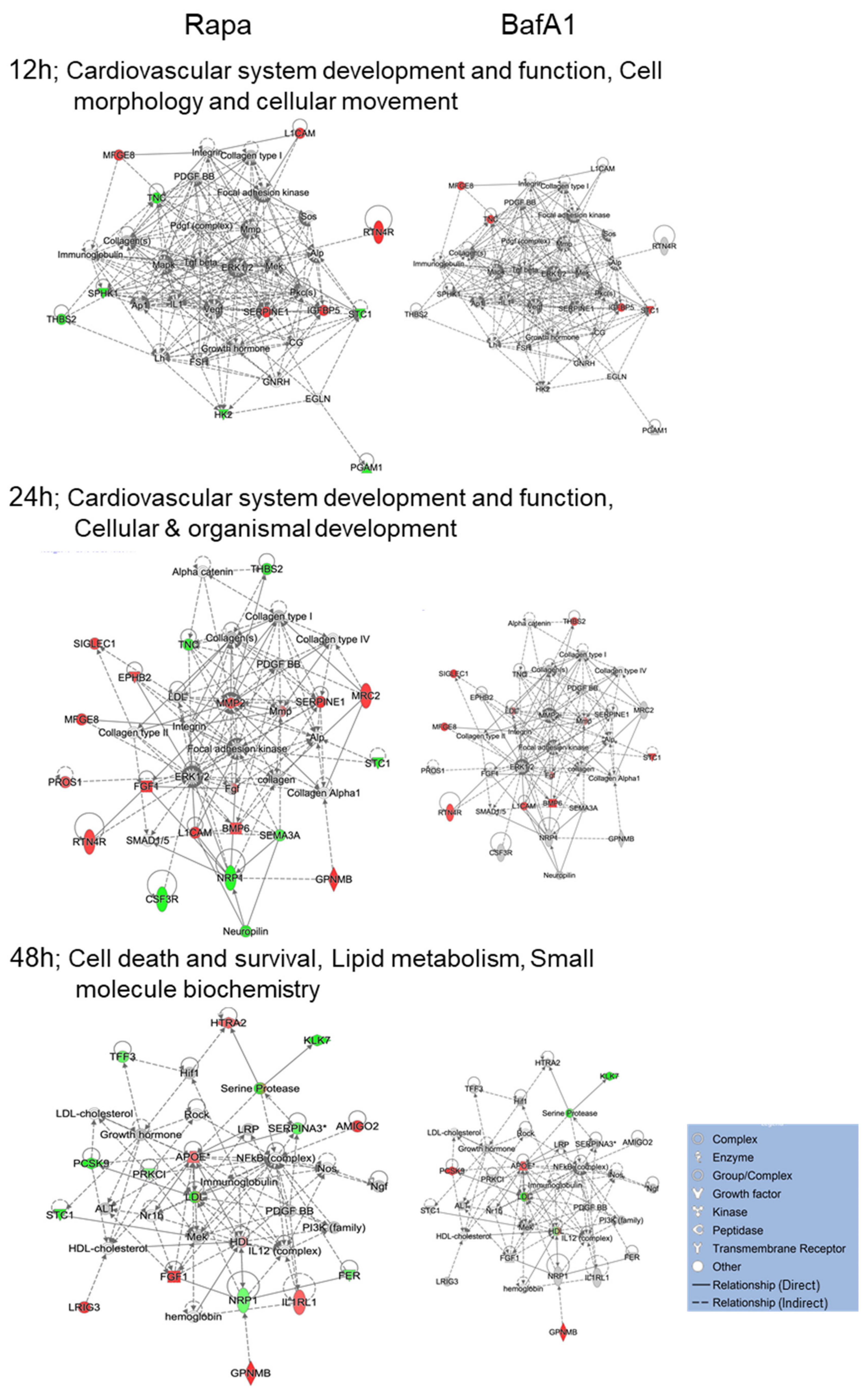 Cells 09 00805 g005 Cells 09 00805 g005