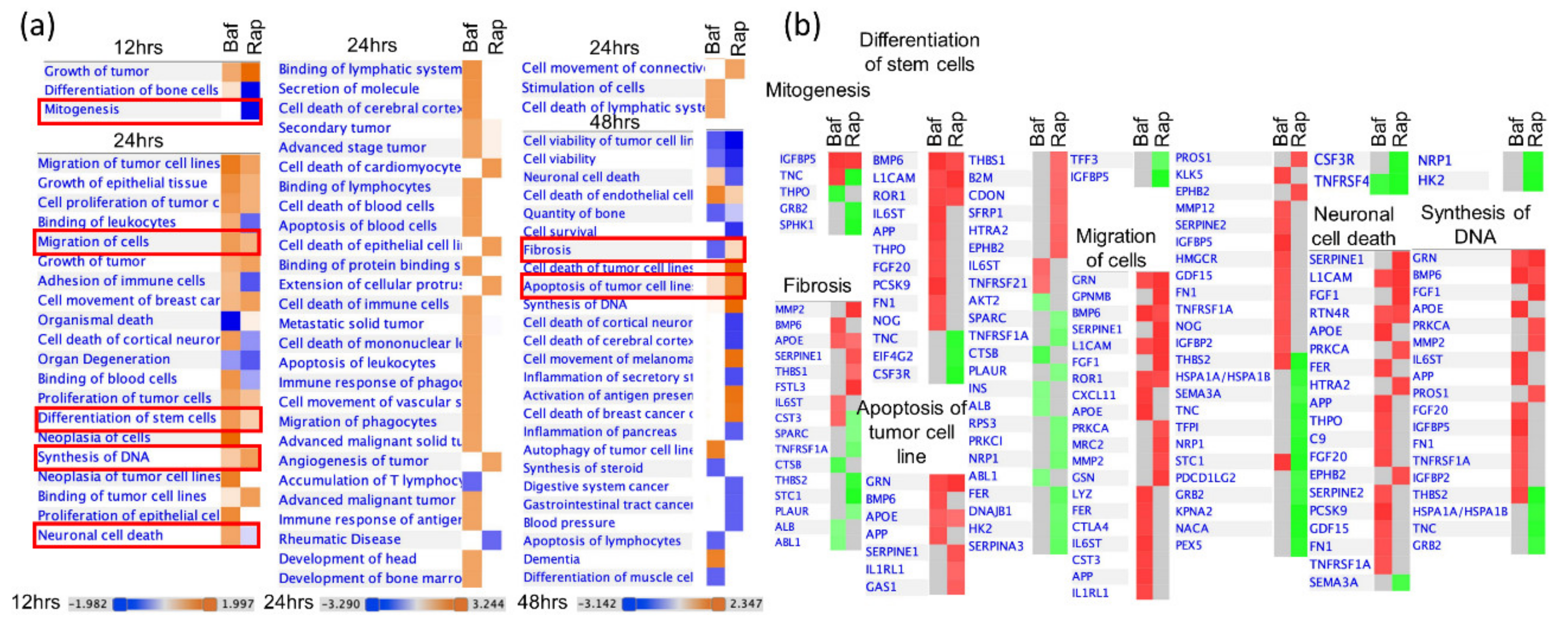 Cells 09 00805 g006 Cells 09 00805 g006