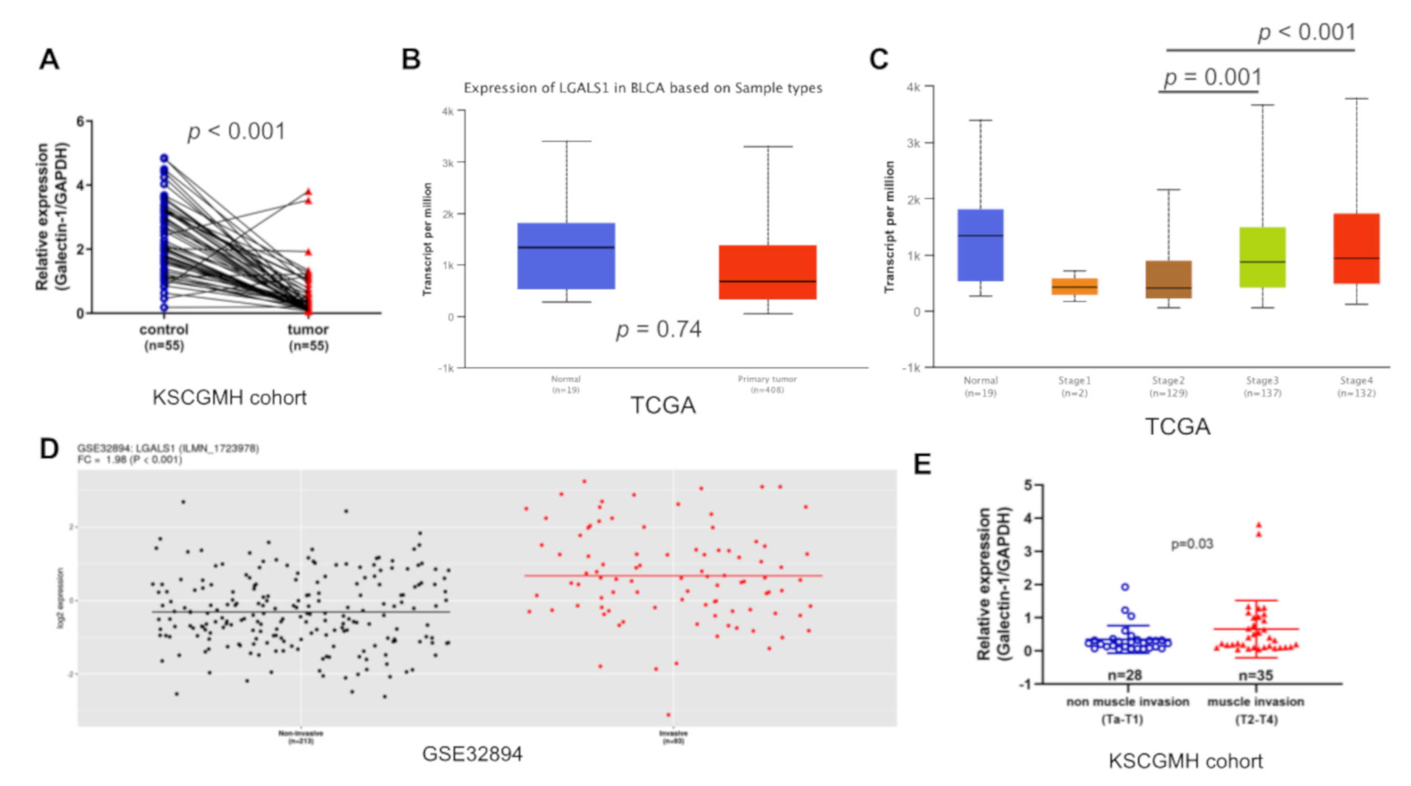 Cells 09 00806 g001 Cells 09 00806 g001