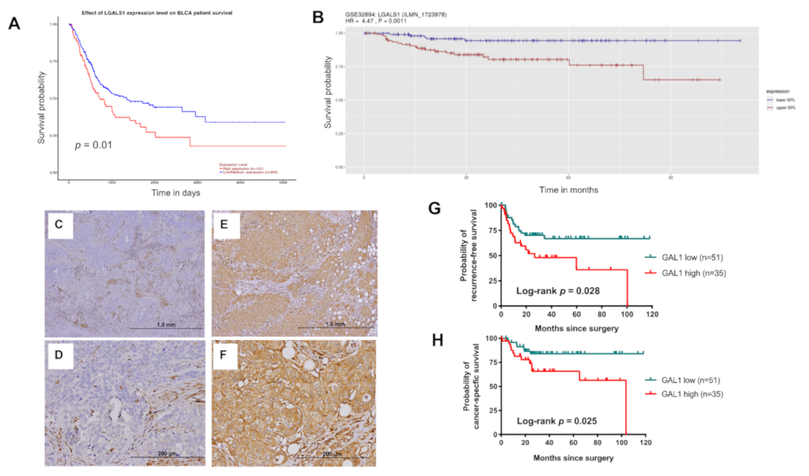 Cells 09 00806 g002 Cells 09 00806 g002