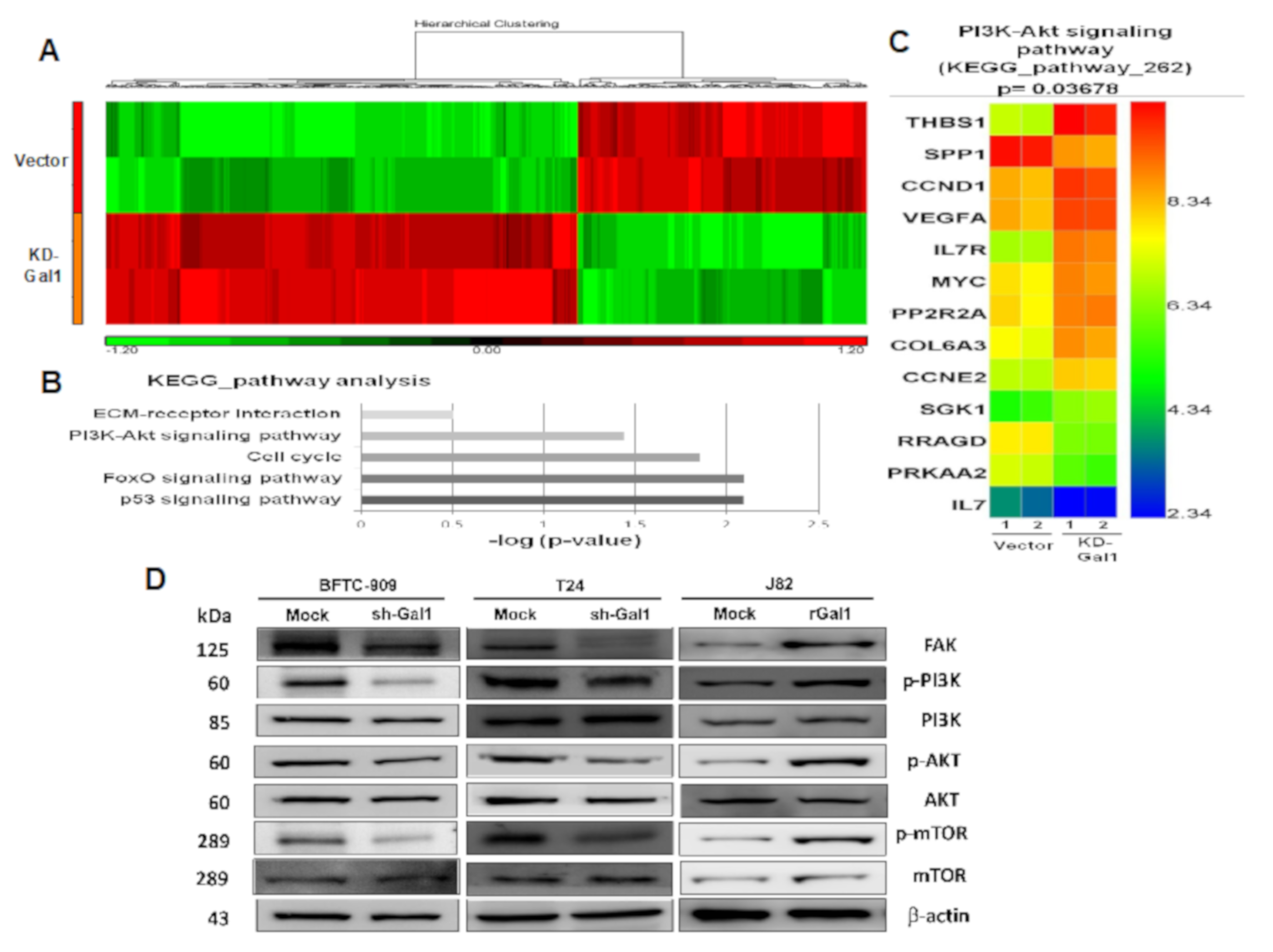 Cells 09 00806 g006 Cells 09 00806 g006