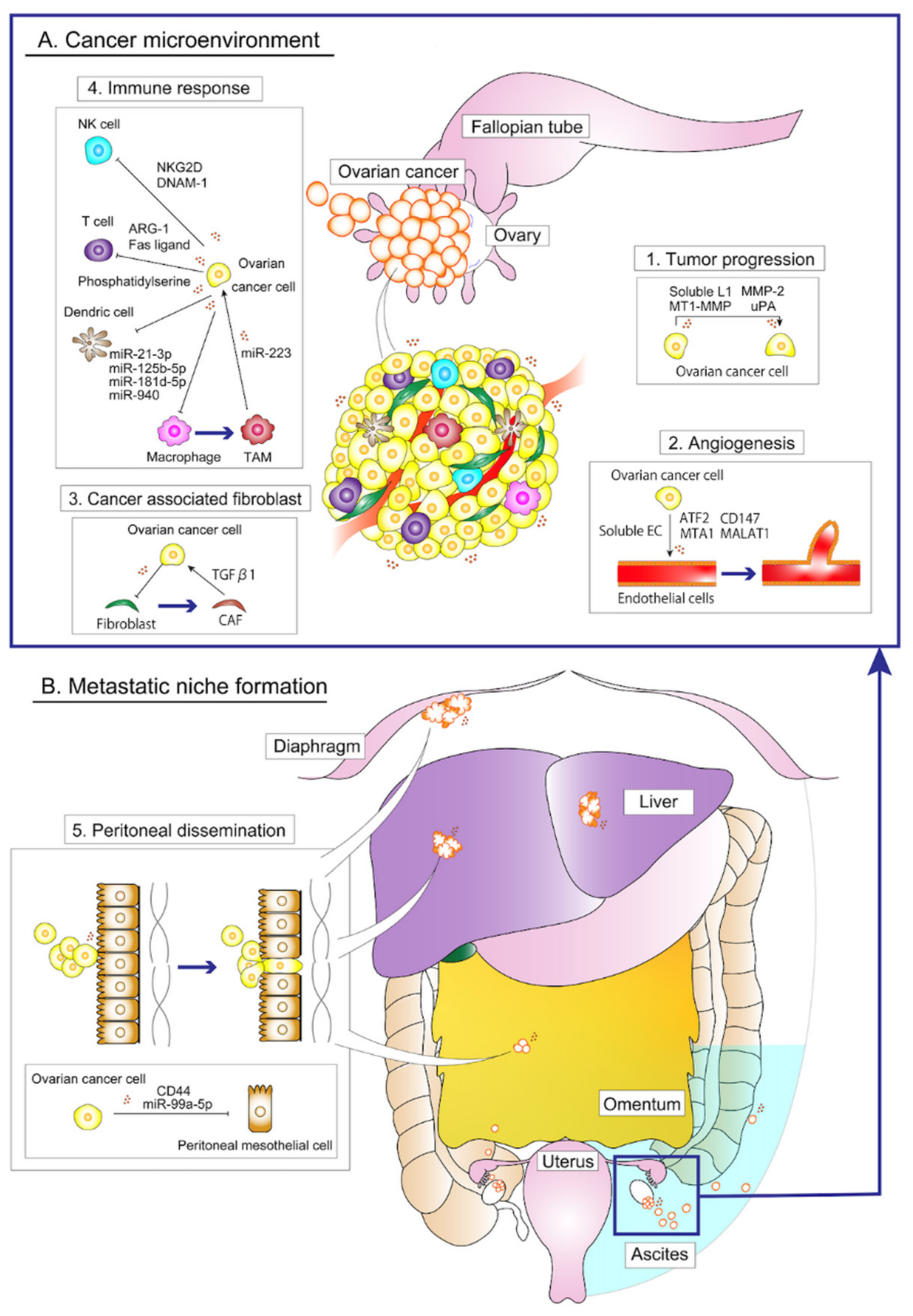 Cells 09 00814 g001 Cells 09 00814 g001