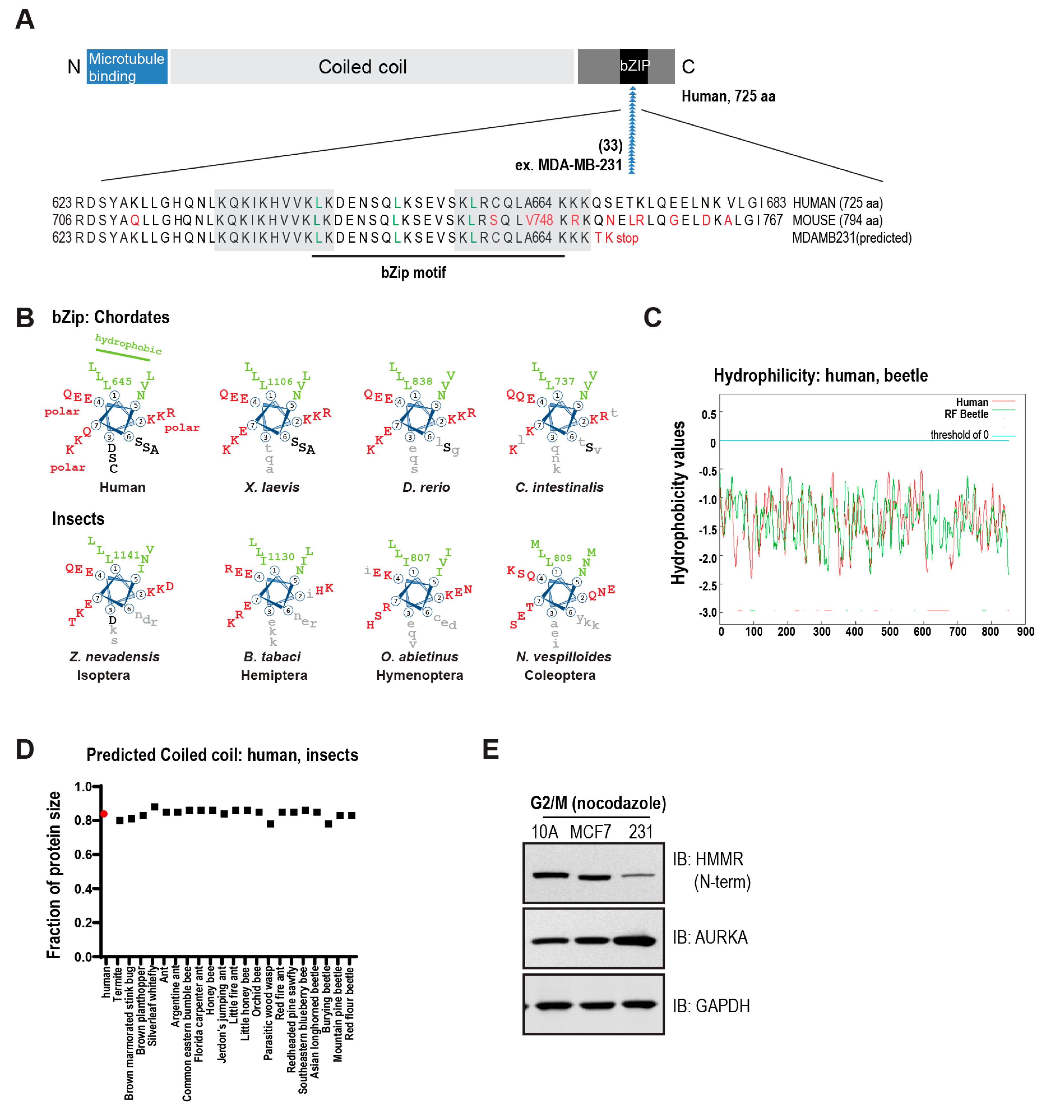 Cells 09 00819 g001 Cells 09 00819 g001