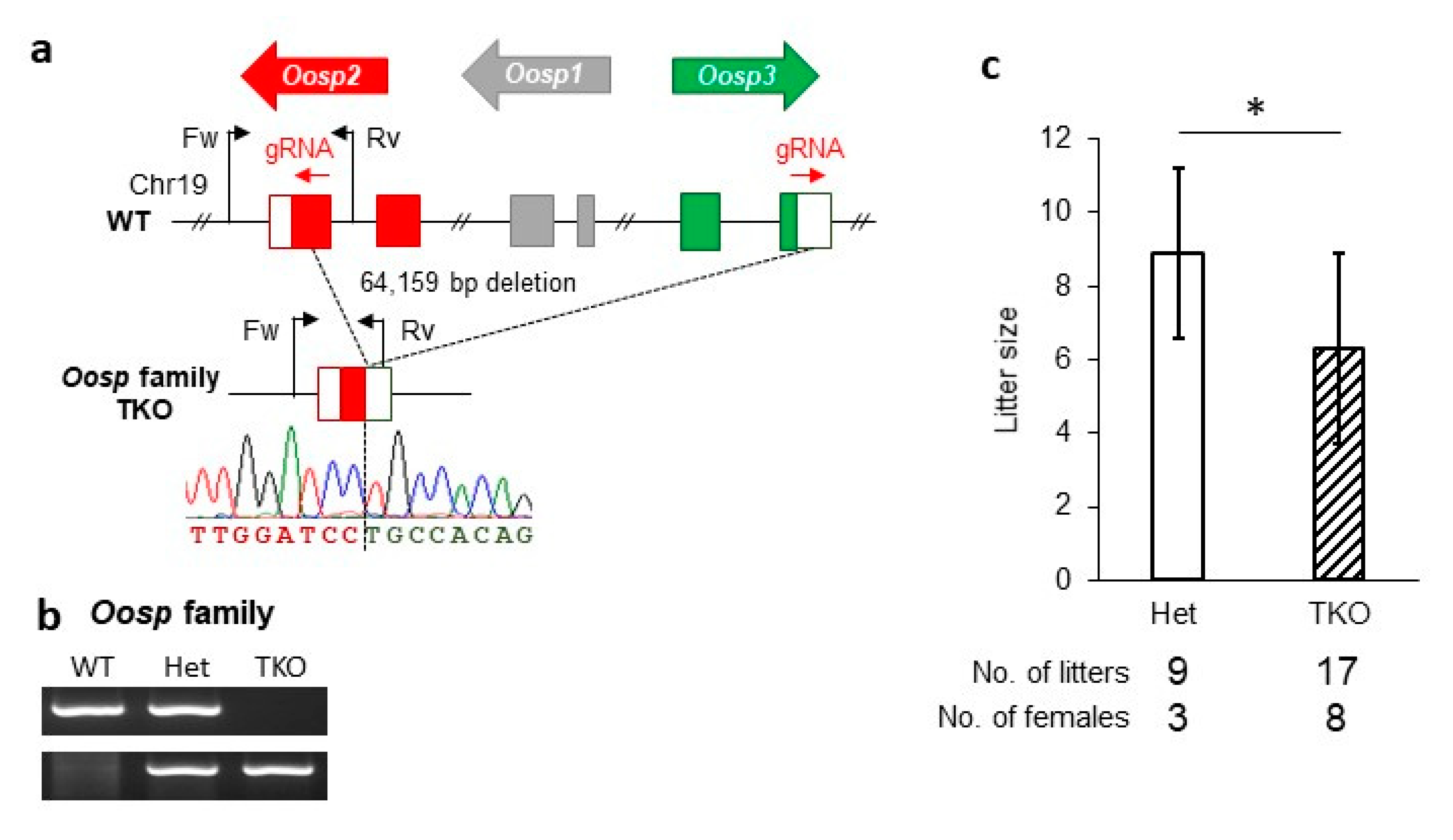 Cells 09 00821 g003 Cells 09 00821 g003