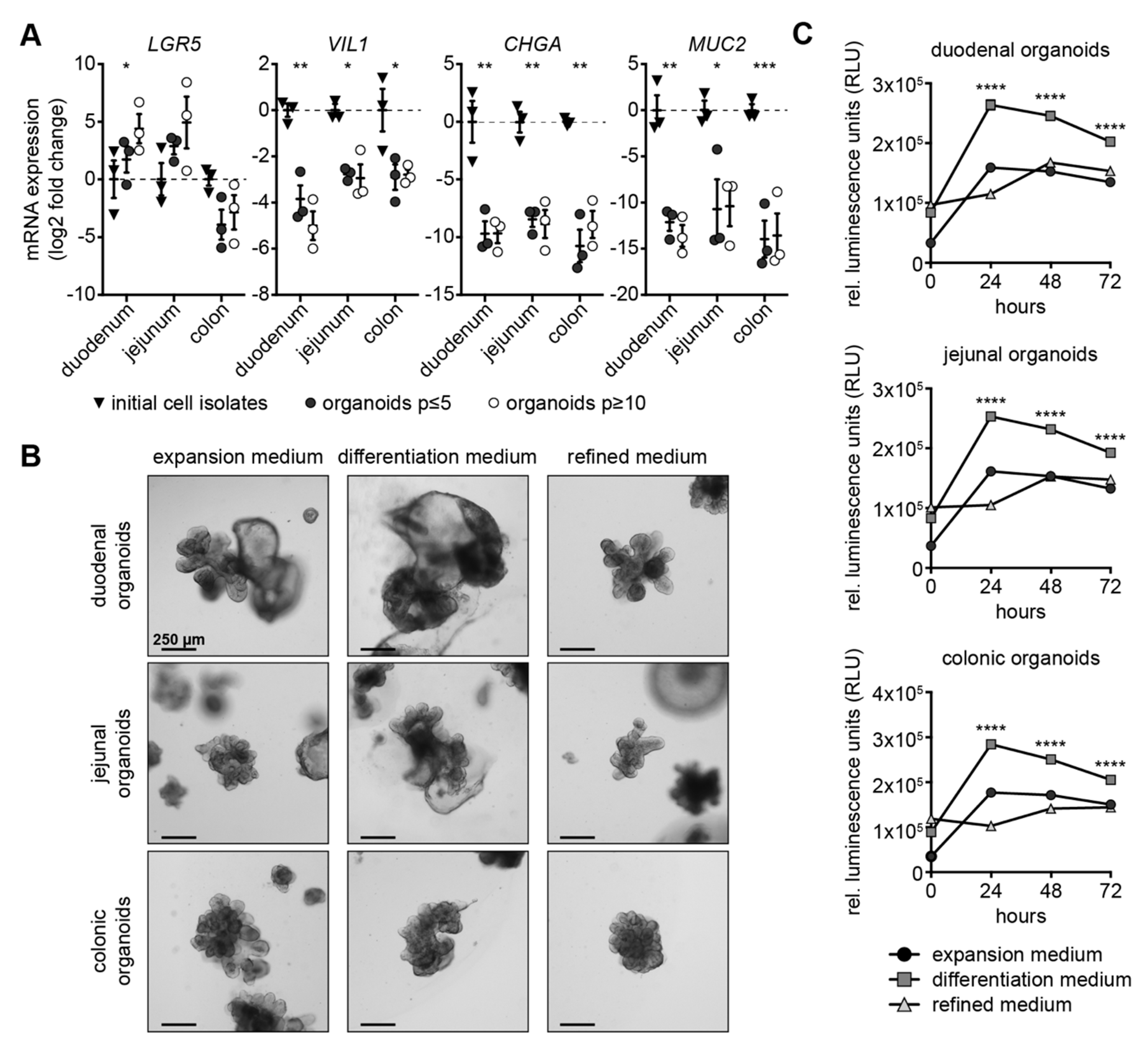 Cells 09 00822 g001 Cells 09 00822 g001