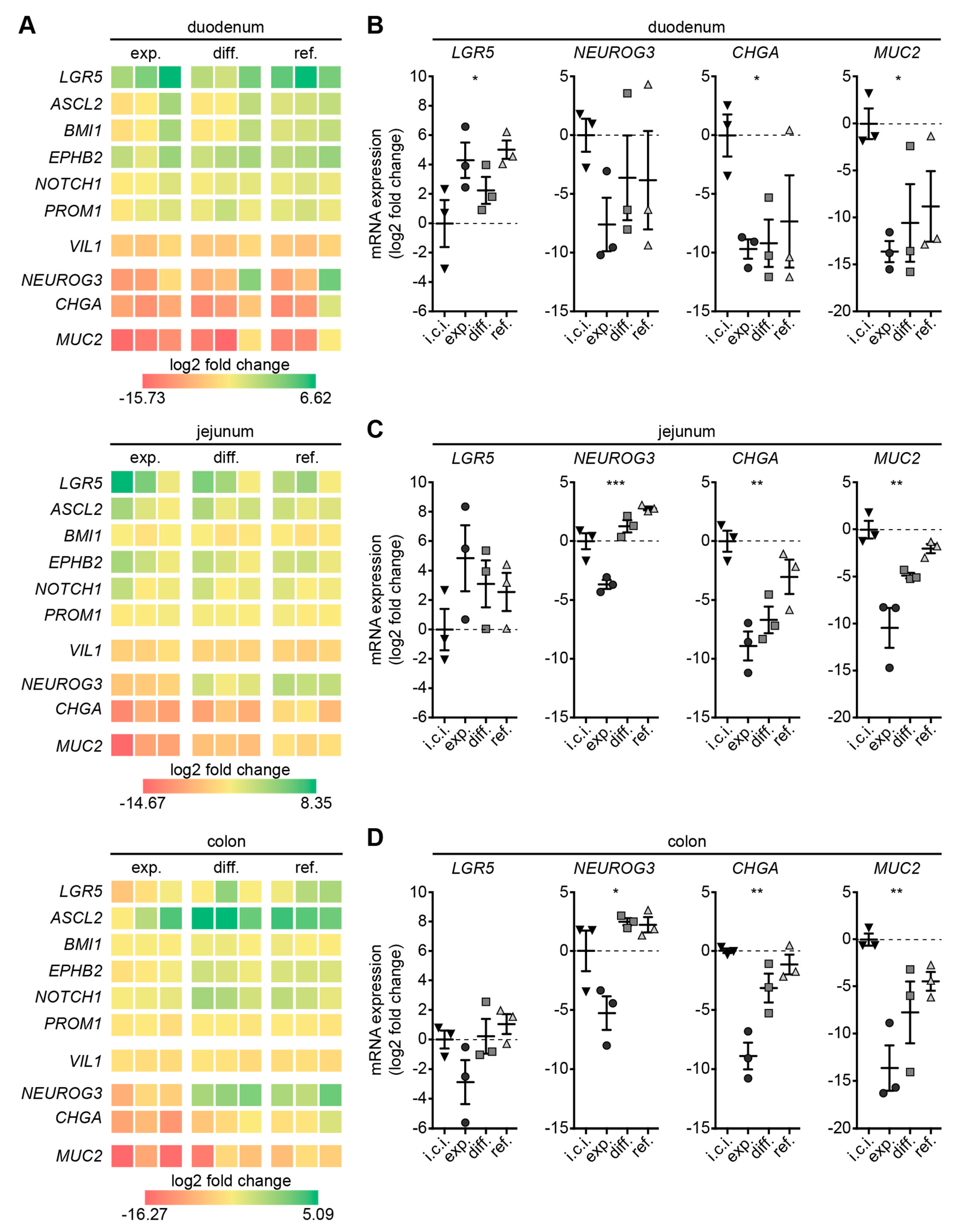 Cells 09 00822 g002 Cells 09 00822 g002