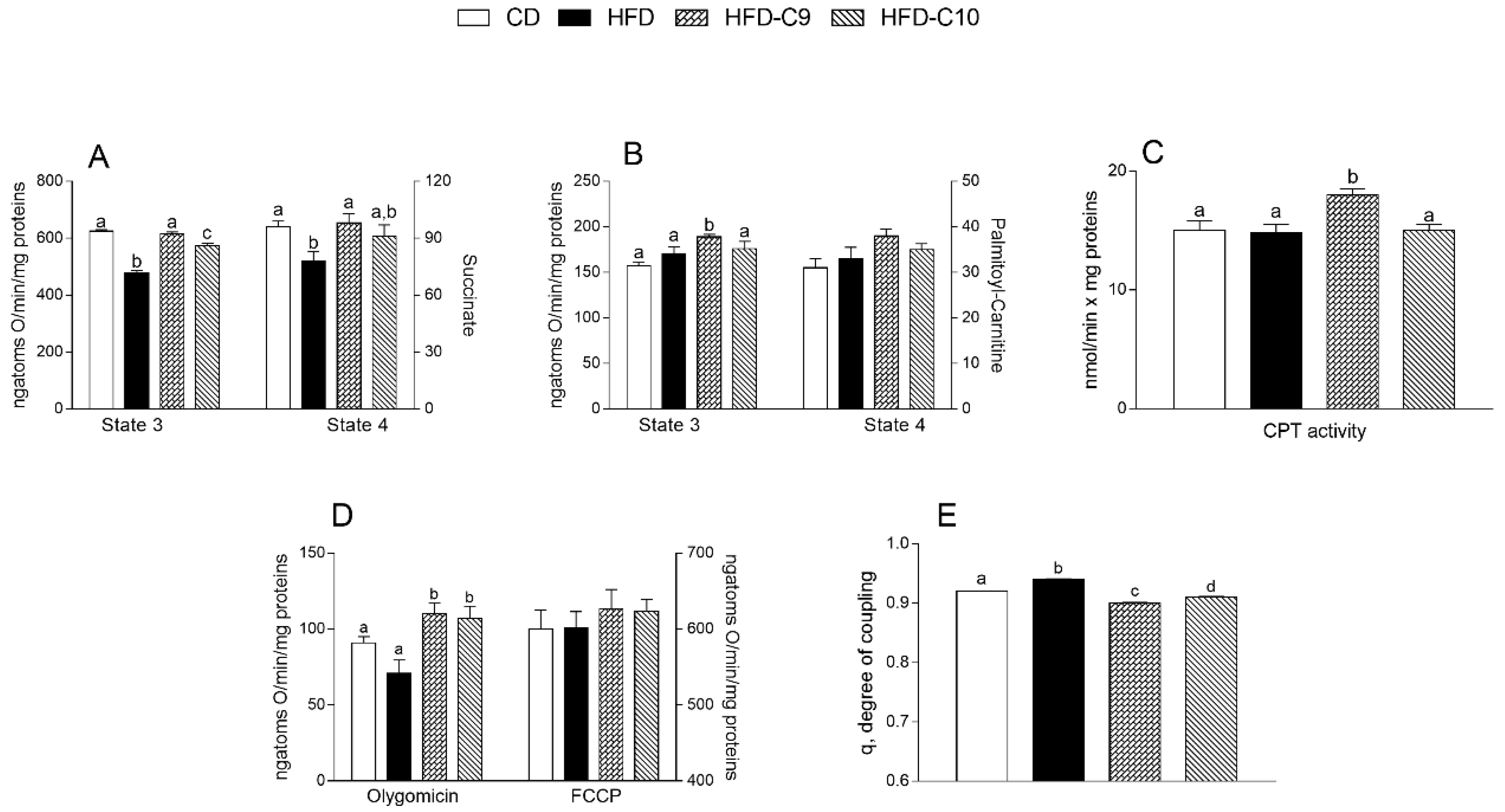 Cells 09 00823 g004 Cells 09 00823 g004