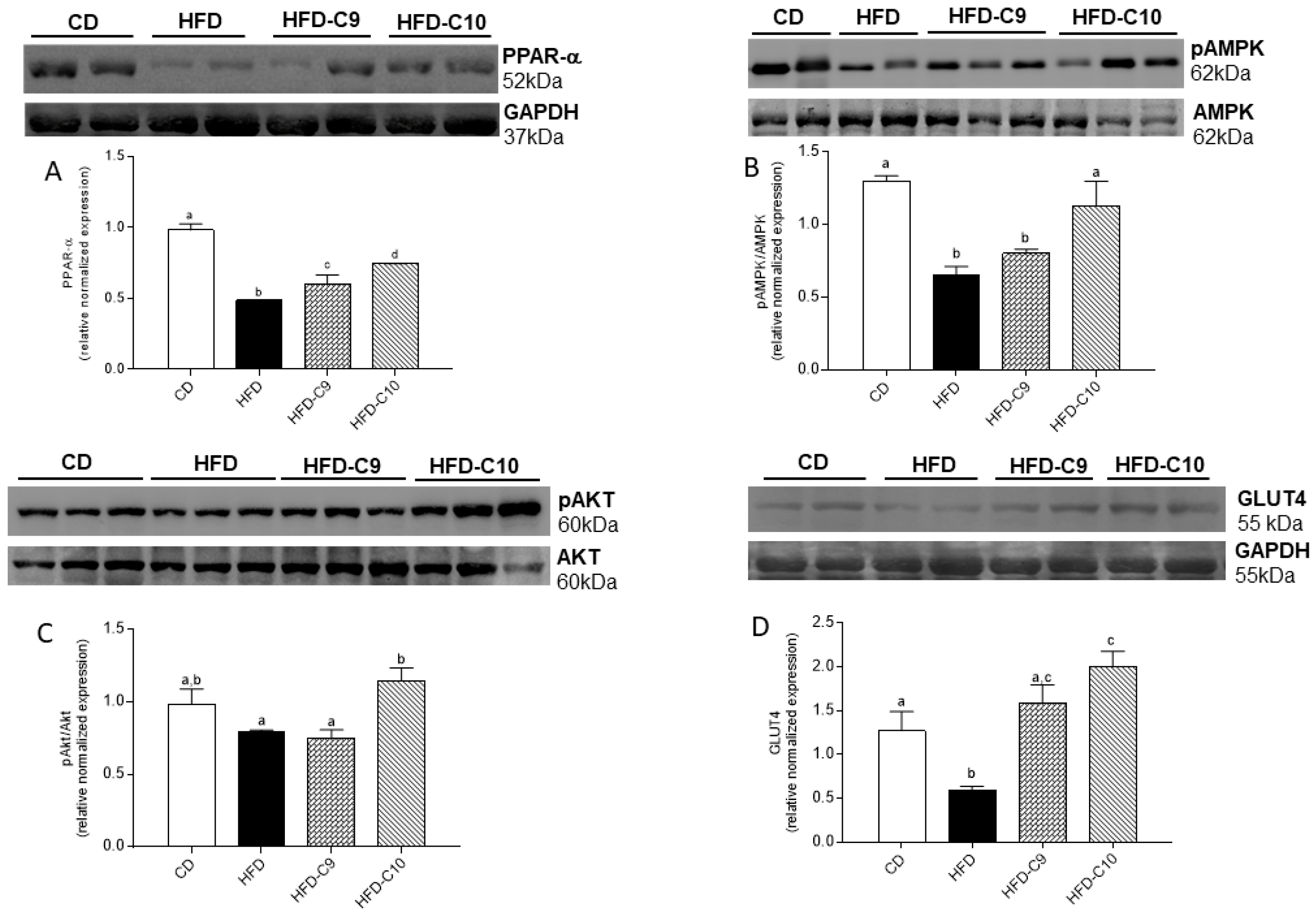 Cells 09 00823 g006 Cells 09 00823 g006