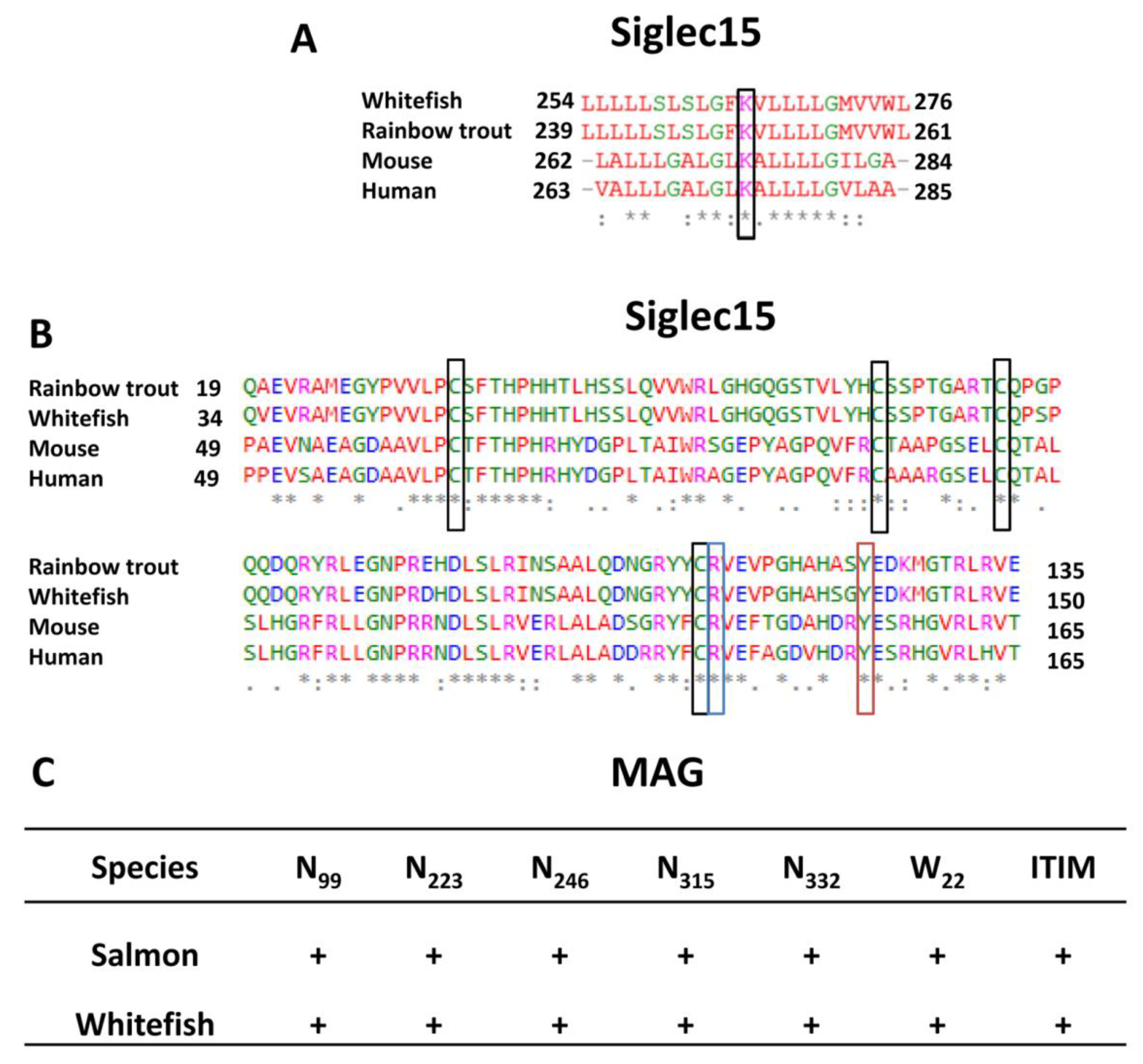 Cells 09 00836 g005 Cells 09 00836 g005