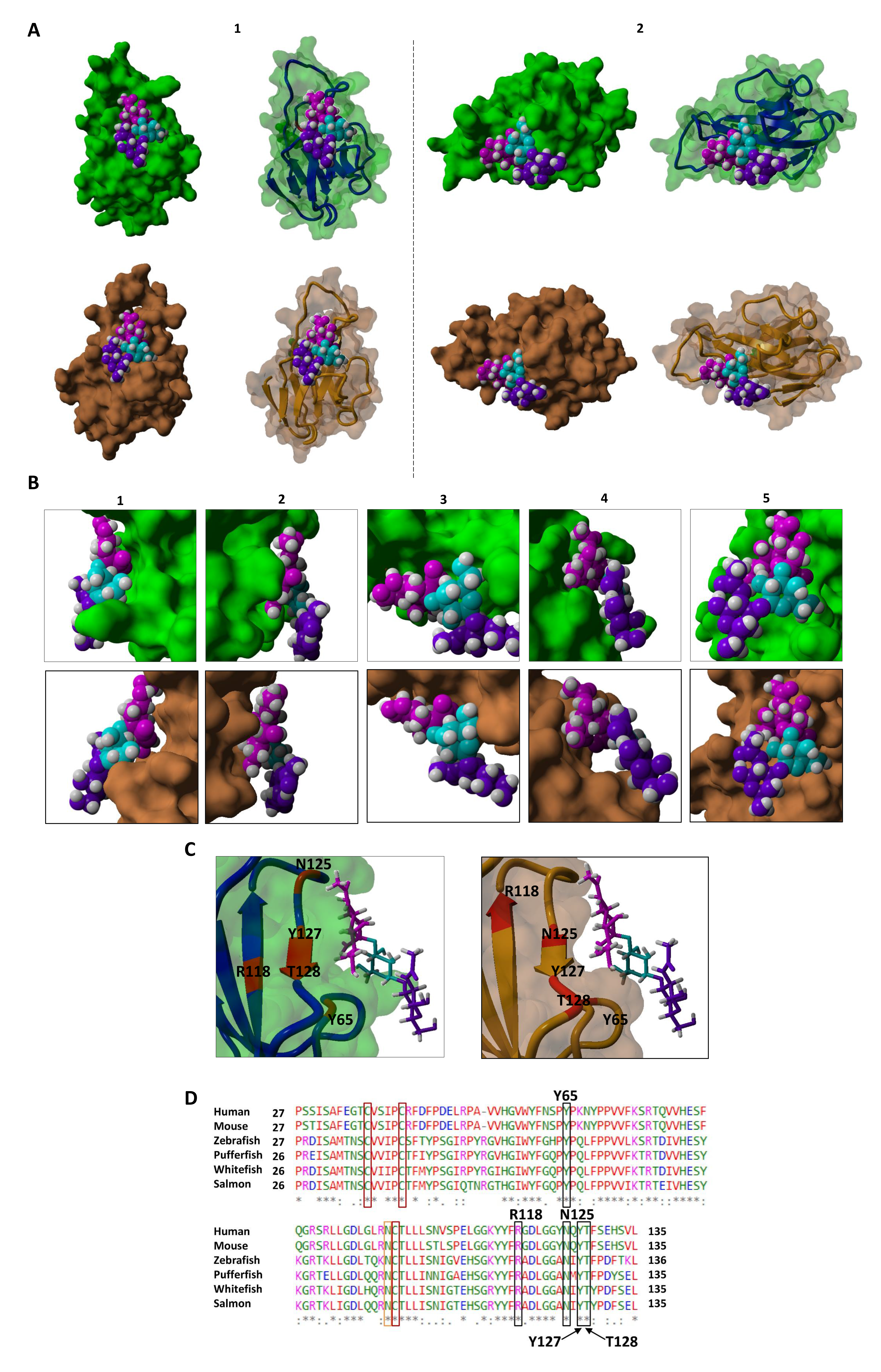 Cells 09 00836 g006 Cells 09 00836 g006