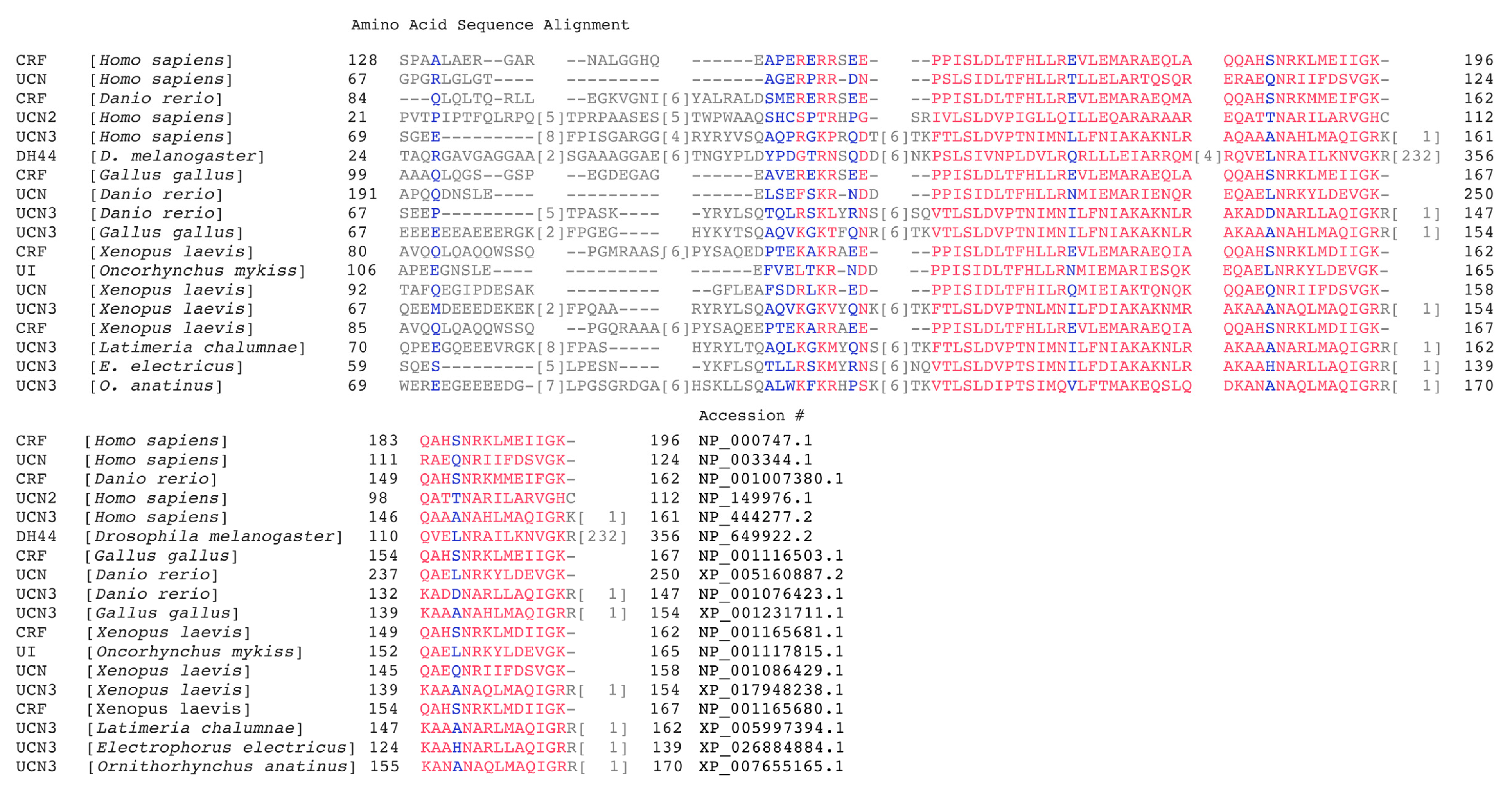Cells 09 00839 g003 Cells 09 00839 g003