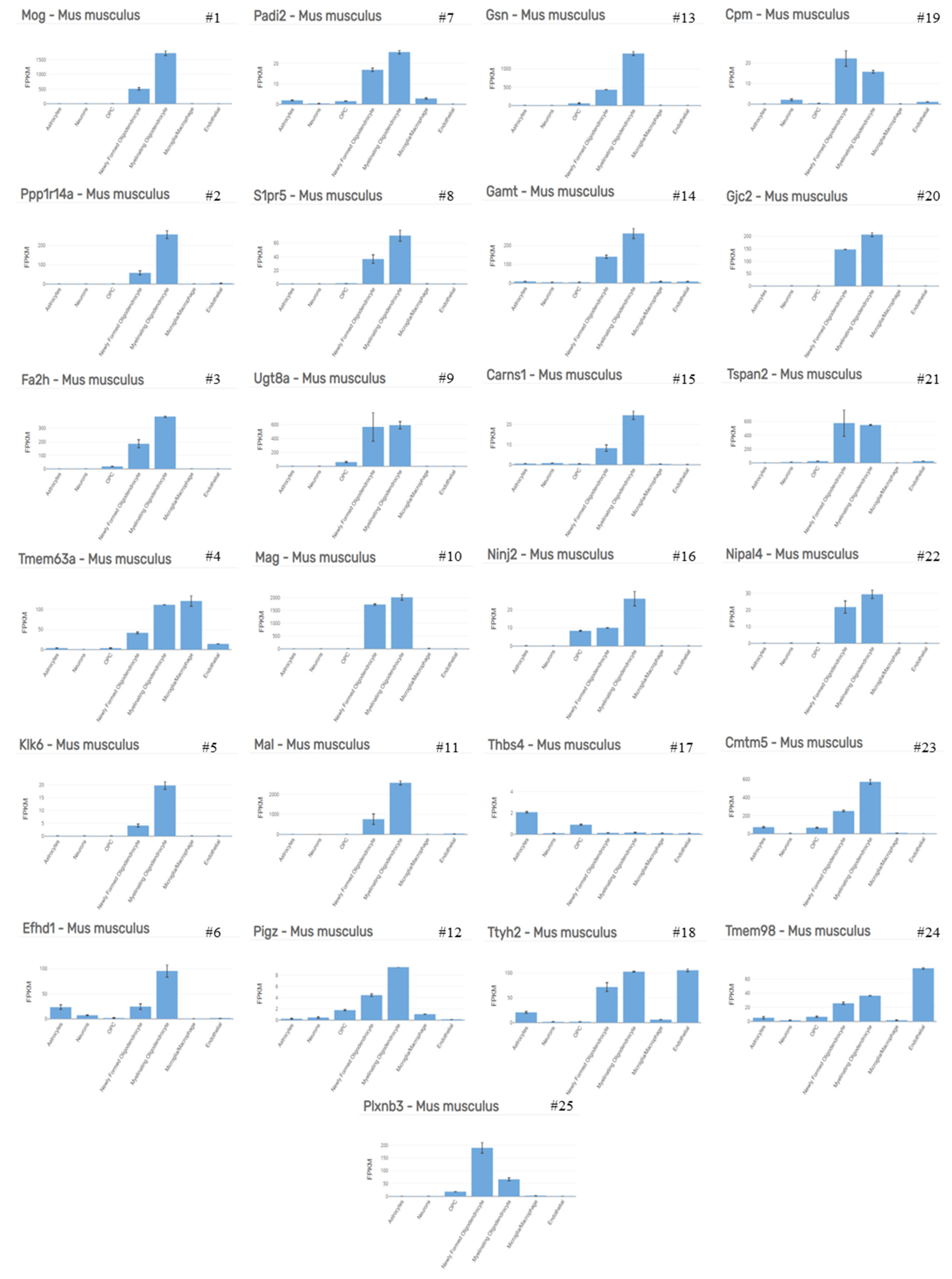 Cells 09 00843 g003 Cells 09 00843 g003