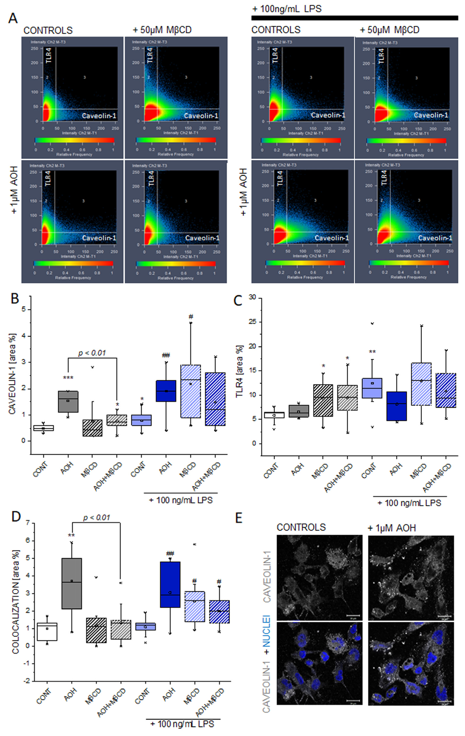Cells 09 00847 g006 Cells 09 00847 g006