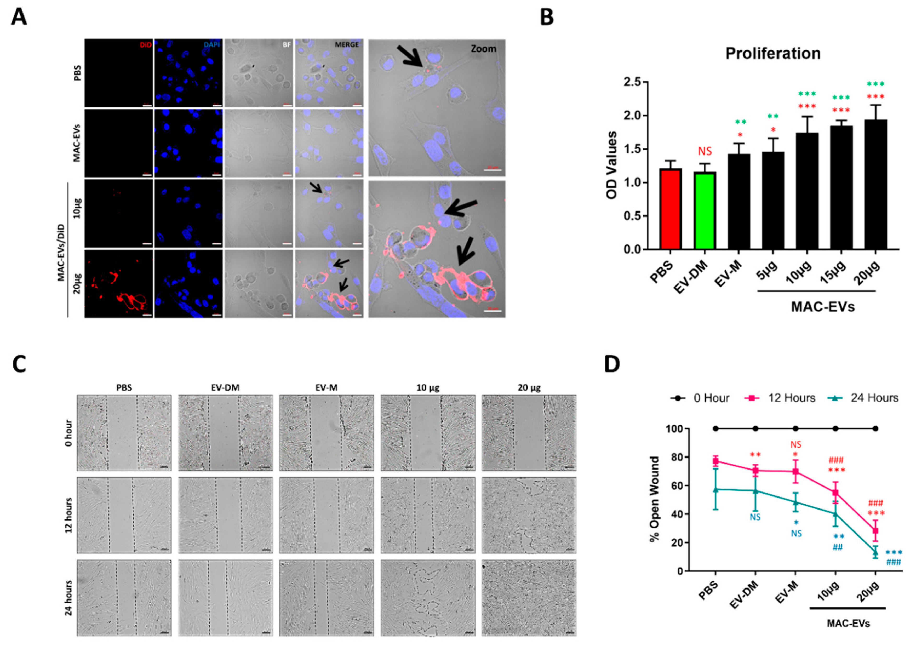 Cells 09 00856 g003 Cells 09 00856 g003