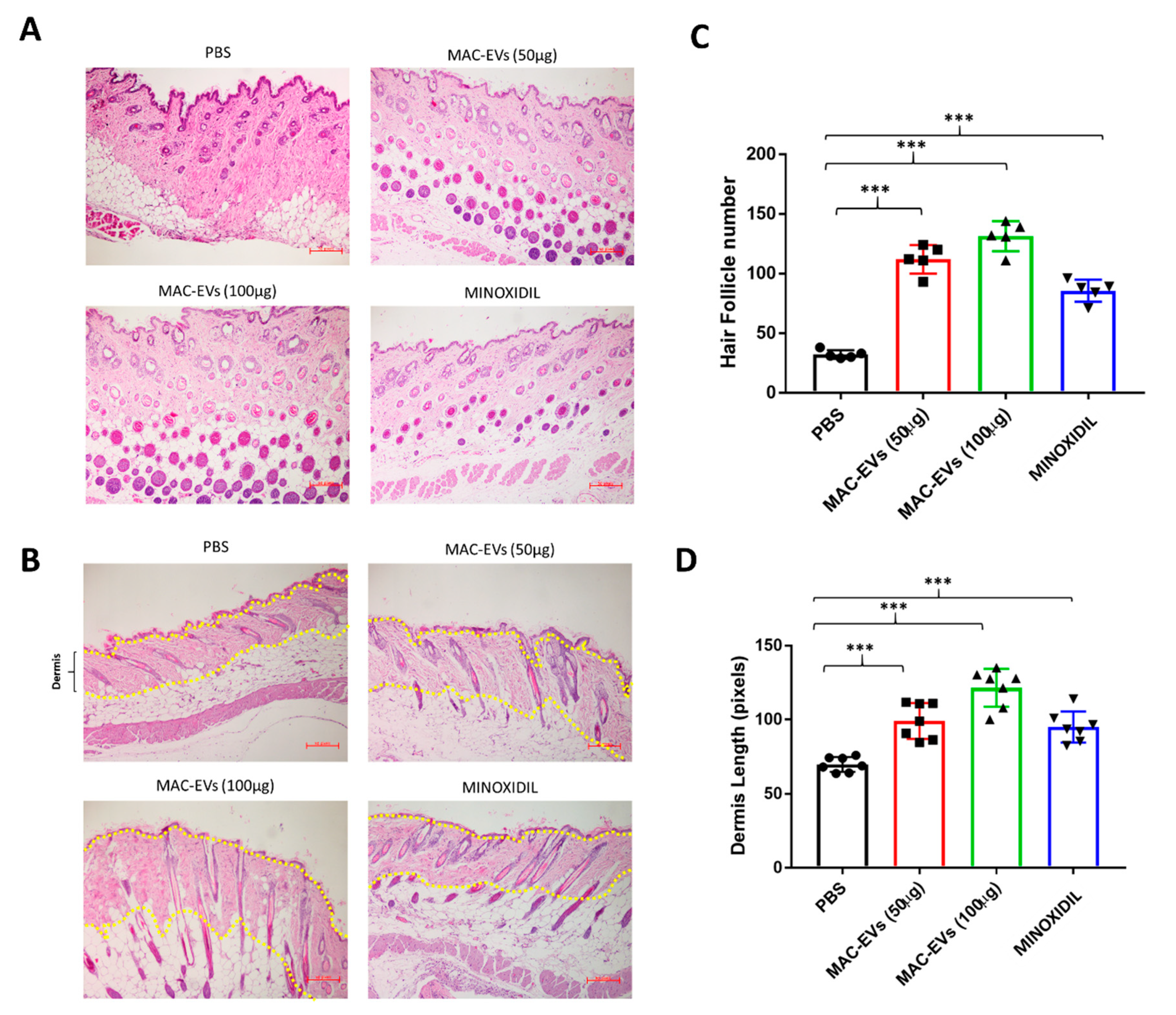 Cells 09 00856 g007 Cells 09 00856 g007