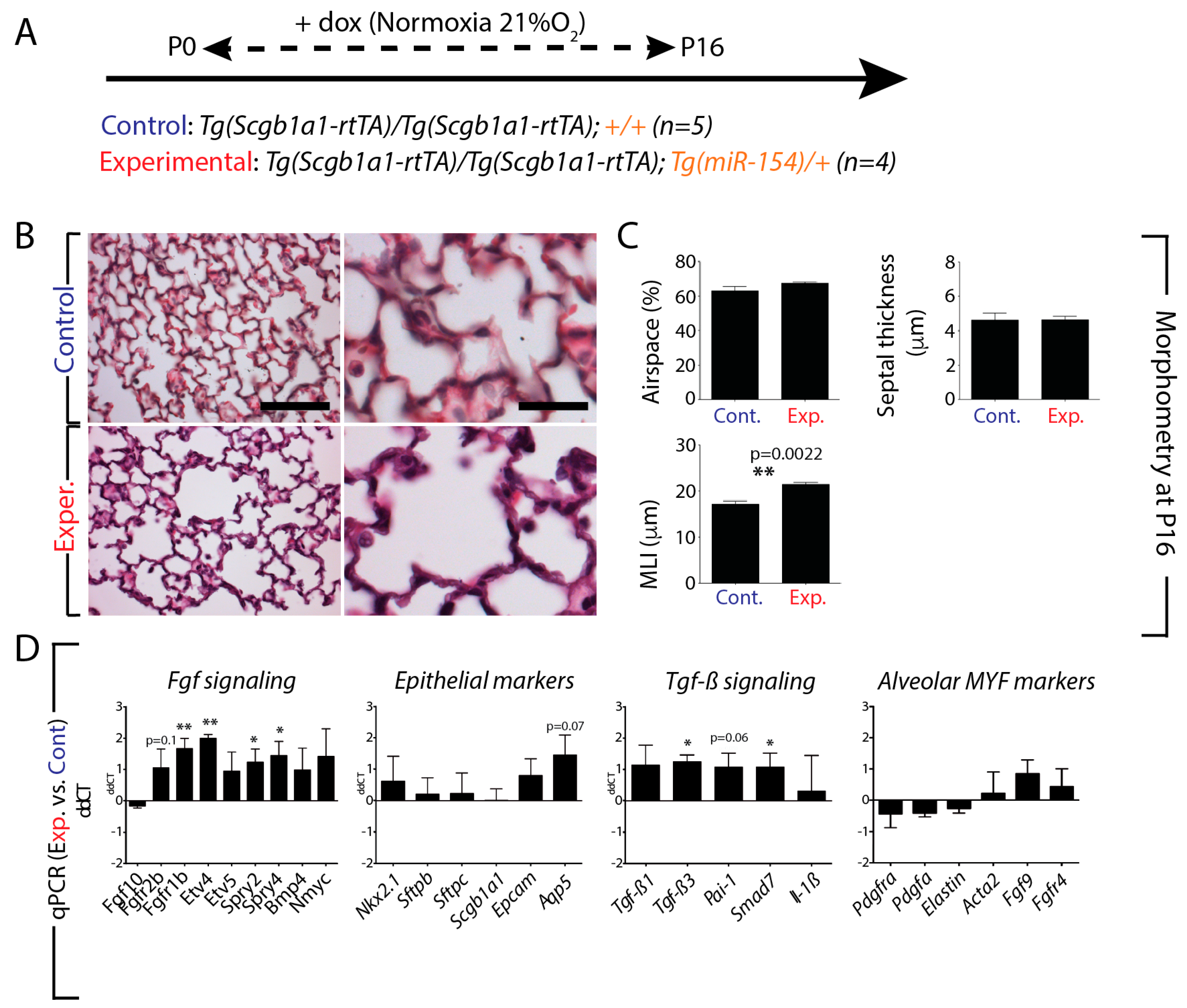 Cells 09 00859 g003 Cells 09 00859 g003