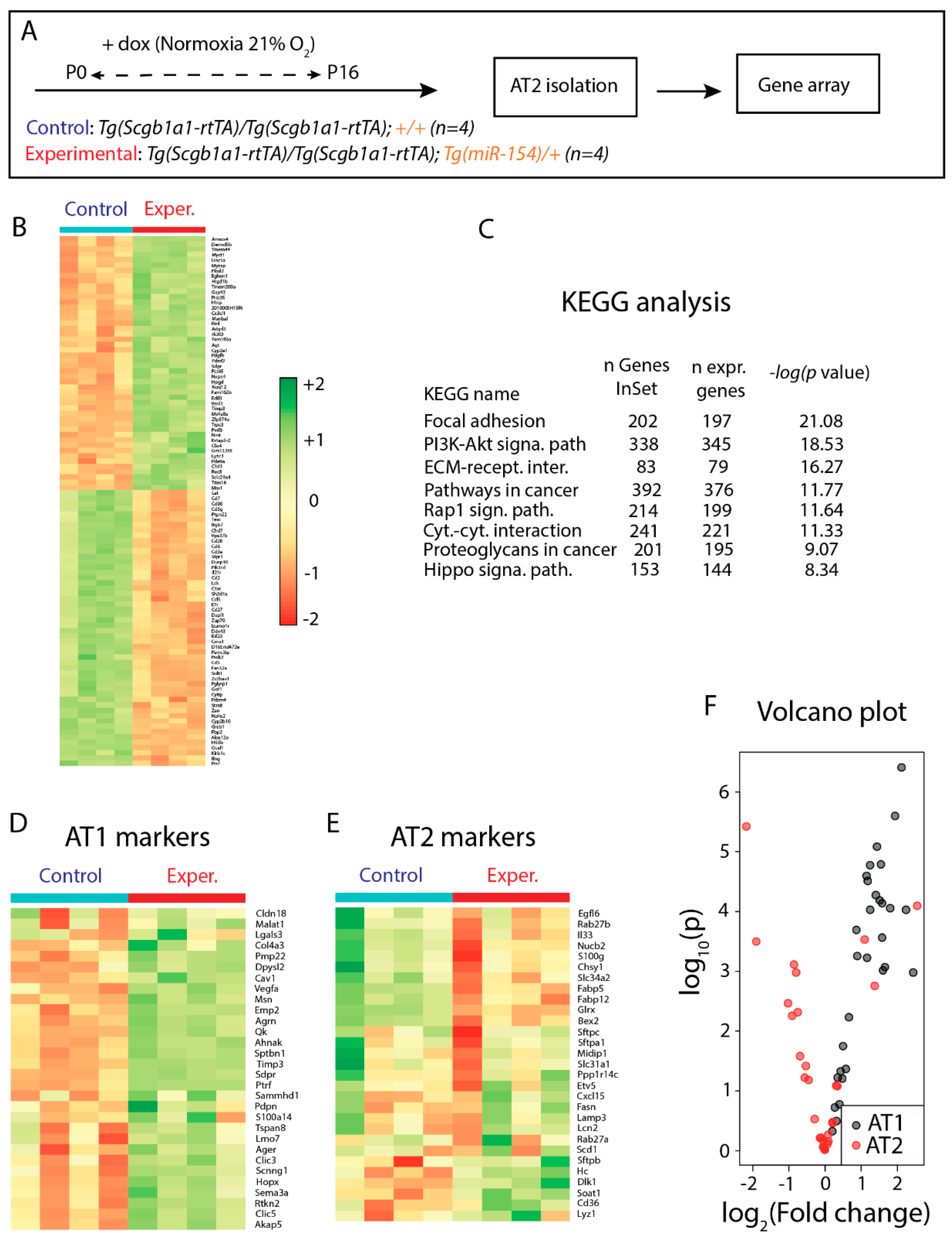 Cells 09 00859 g004 Cells 09 00859 g004