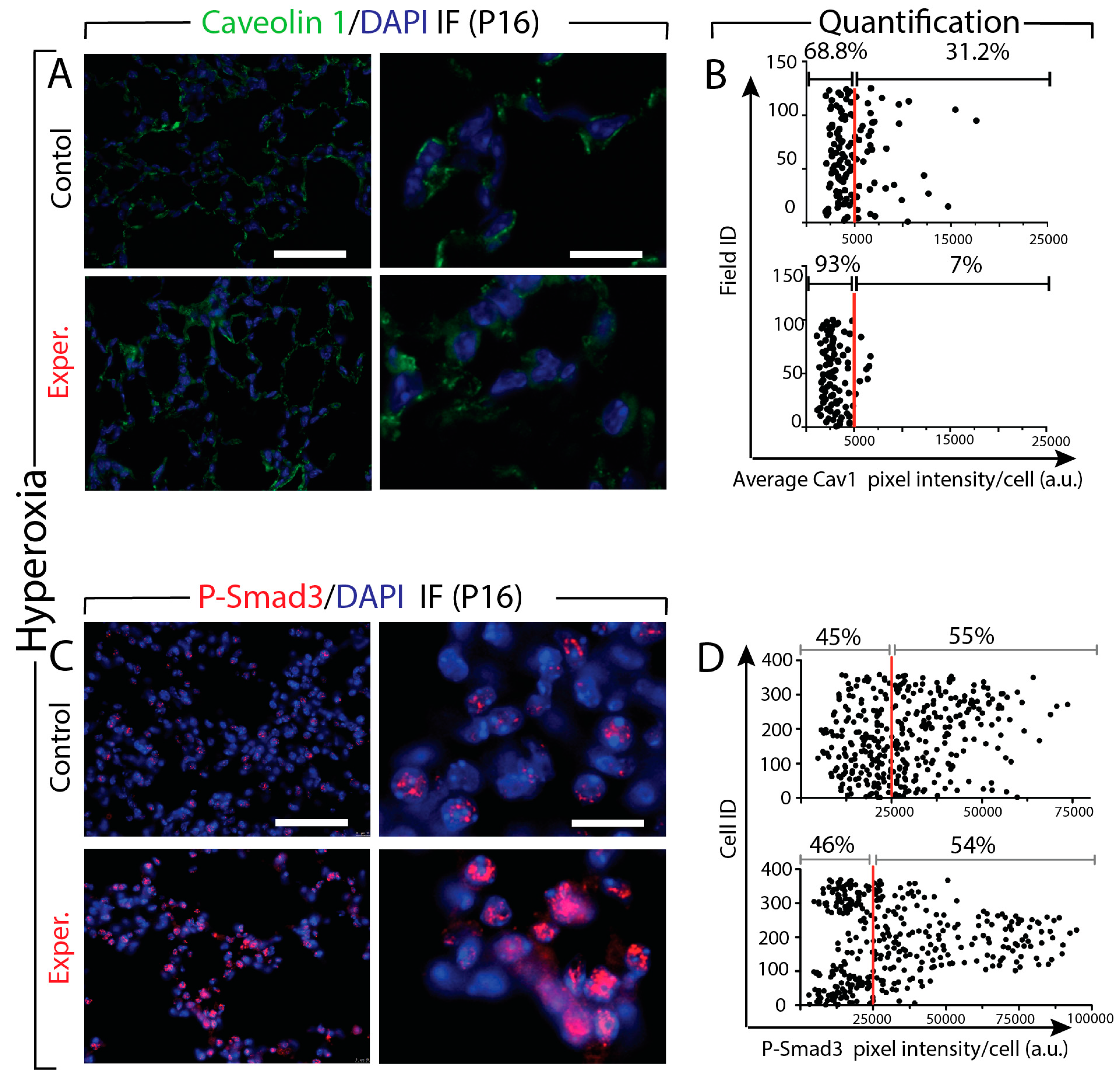 Cells 09 00859 g007 Cells 09 00859 g007