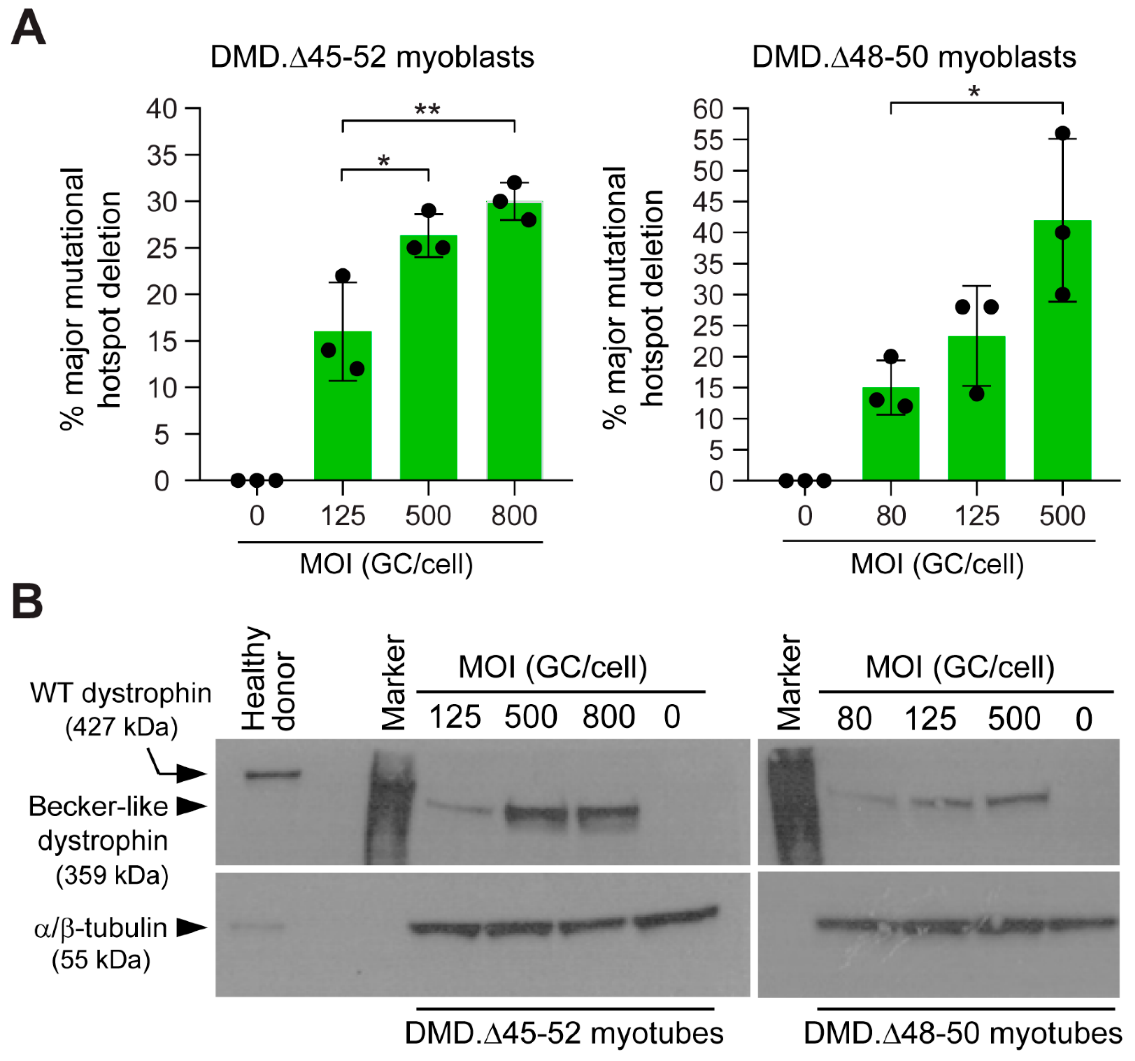 Cells 09 00869 g008 Cells 09 00869 g008