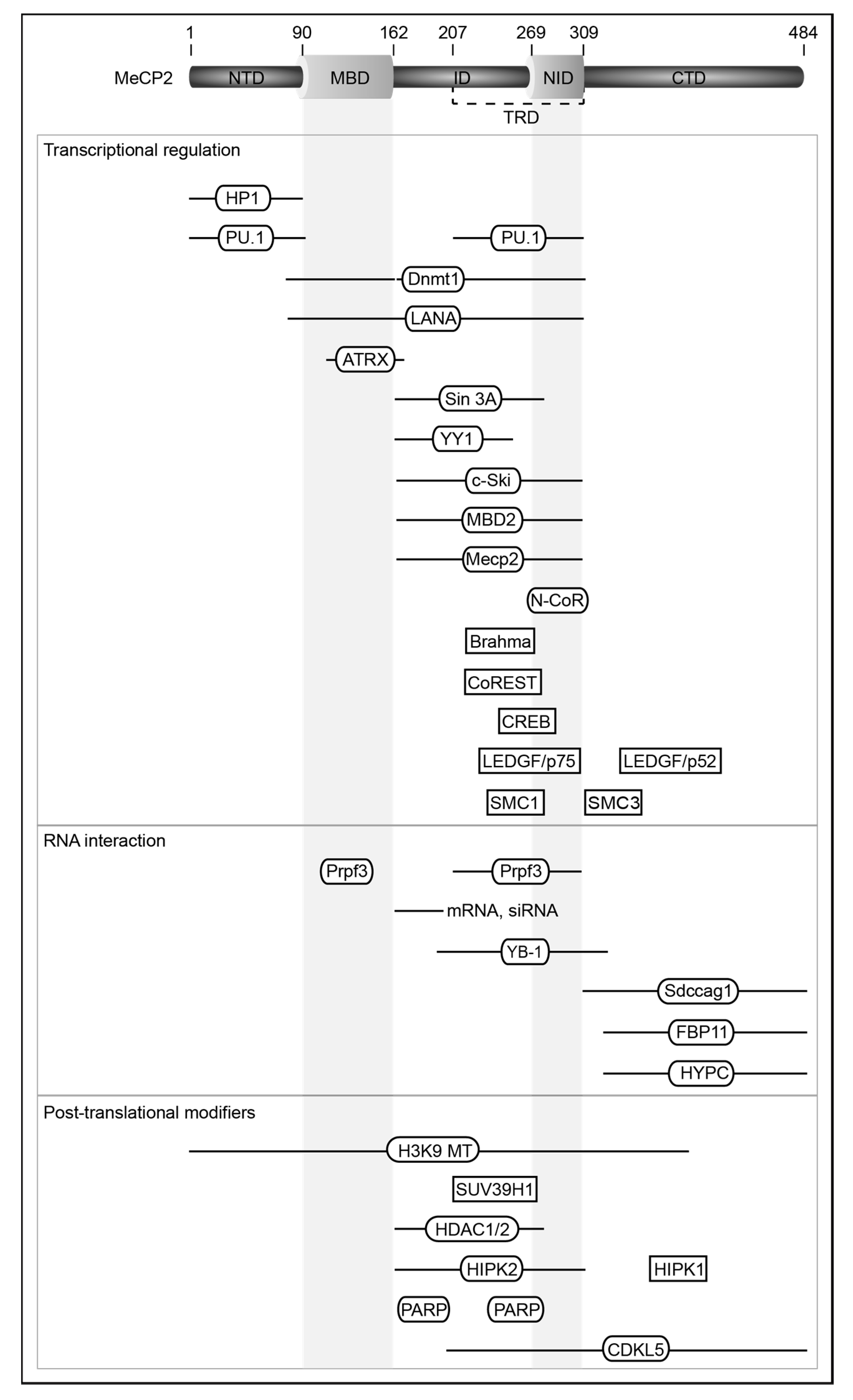xfree.hu ls naked 80 Frontiers | Modifiers and Readers of DNA Modifications and Their Impact on  Genome Structure, Expression, and Stability in Disease