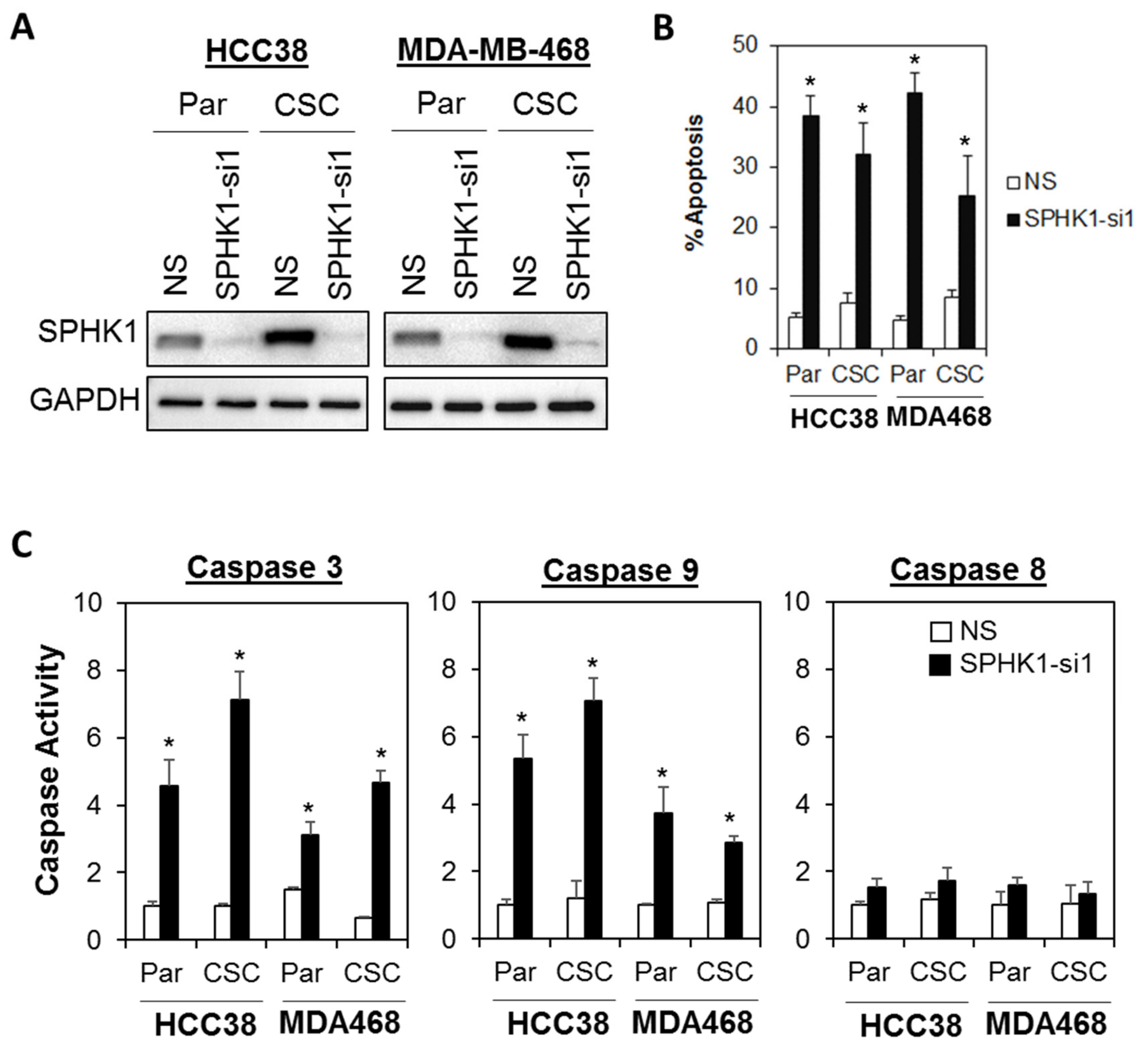 Cells 09 00886 g004