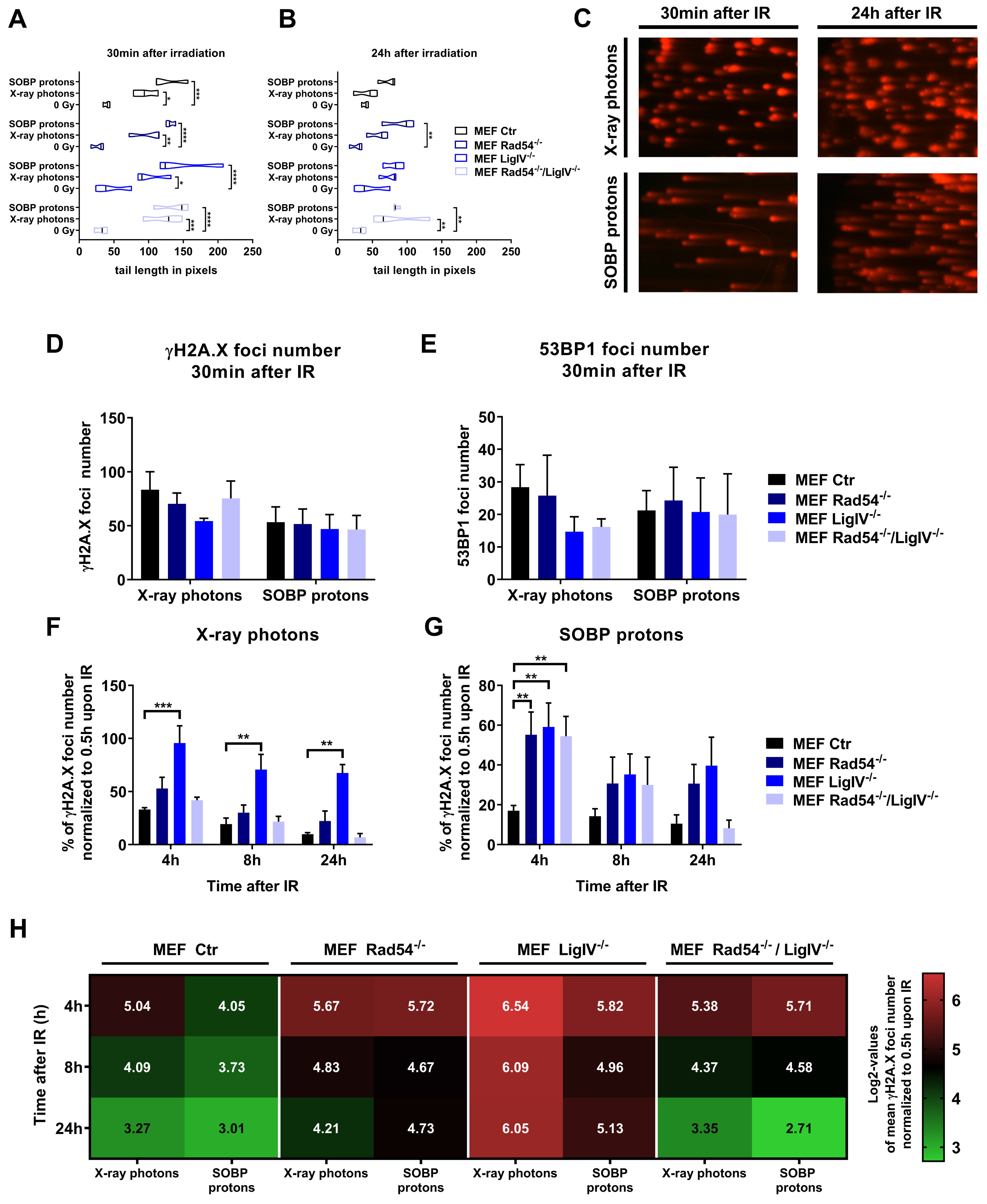 Cells 09 00889 g003