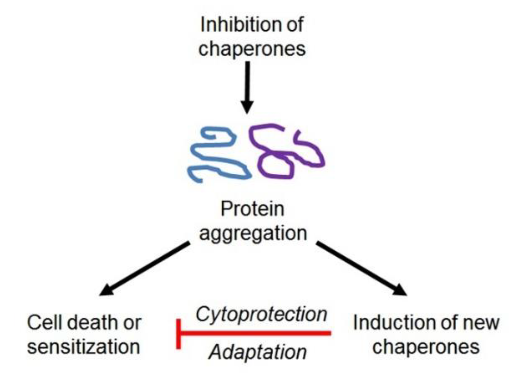 Cells 09 00892 g005 Cells 09 00892 g005