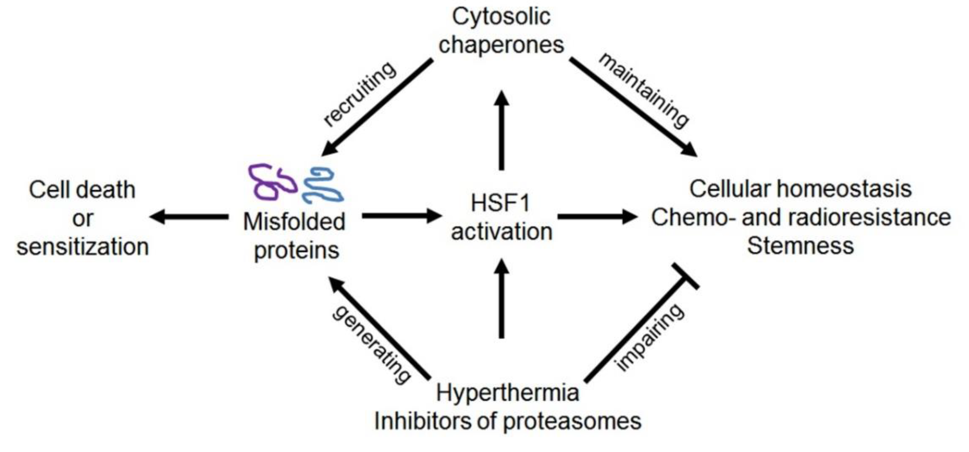 Cells 09 00892 g006 Cells 09 00892 g006