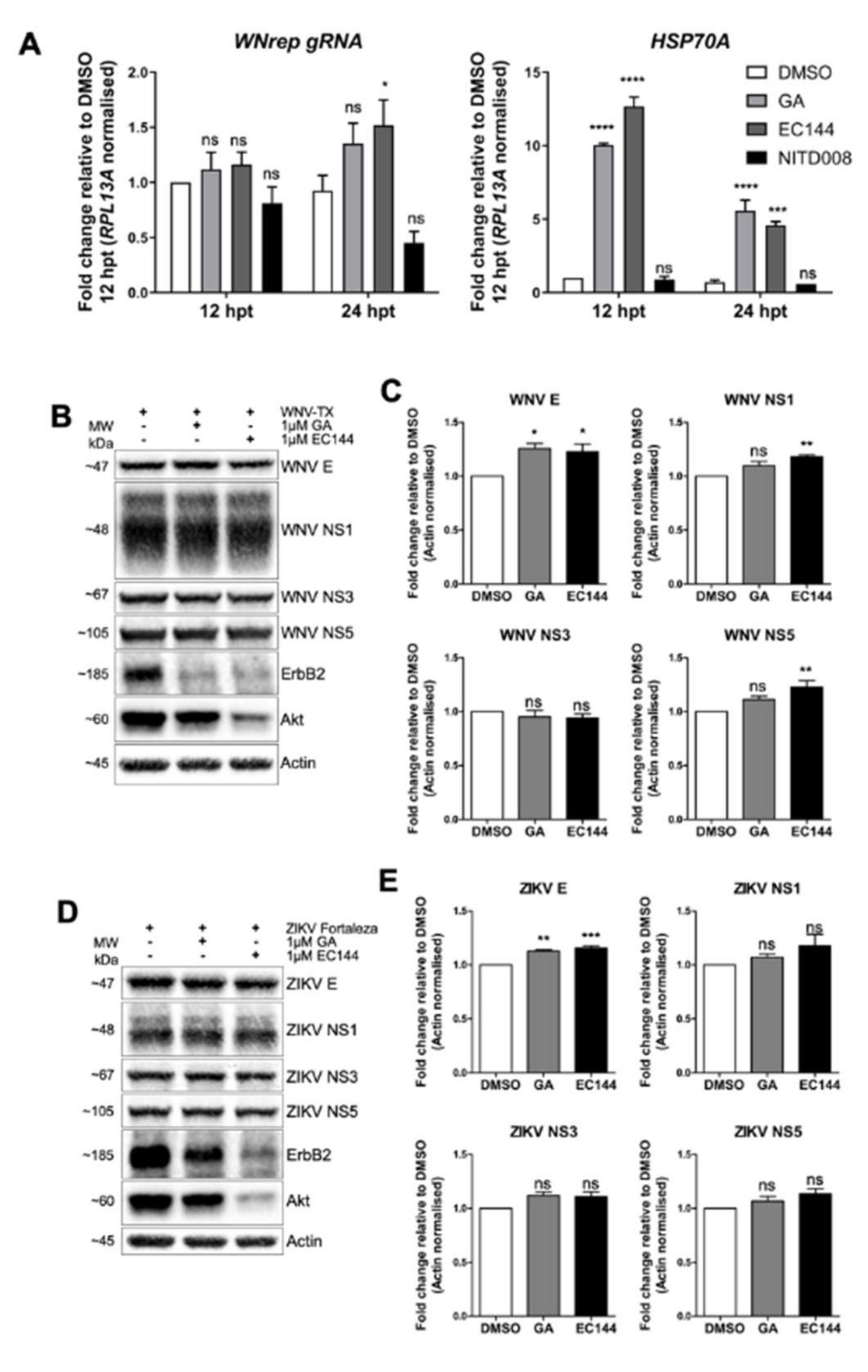 Cells 09 00899 g005 Cells 09 00899 g005