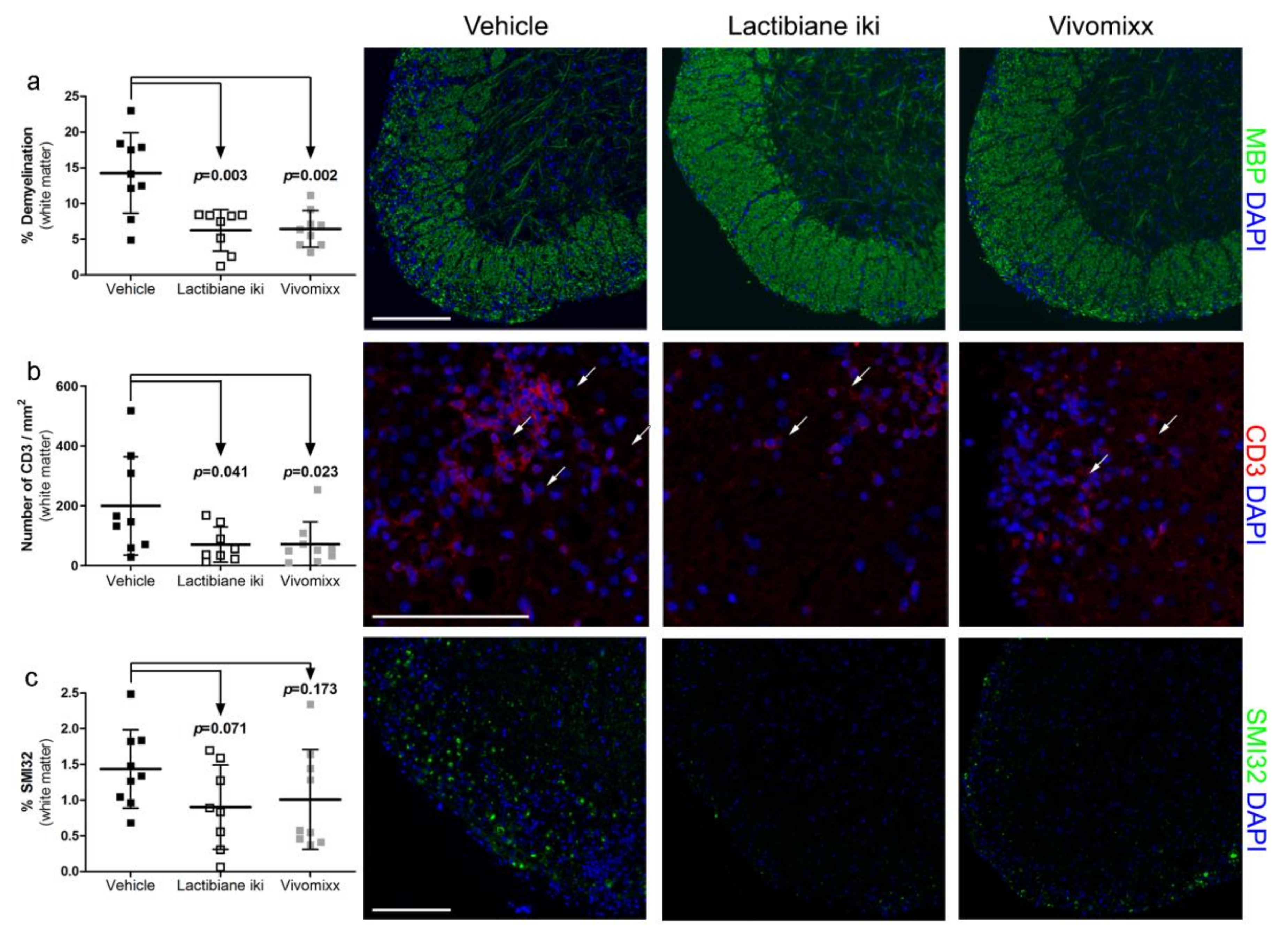 Cells 09 00906 g002