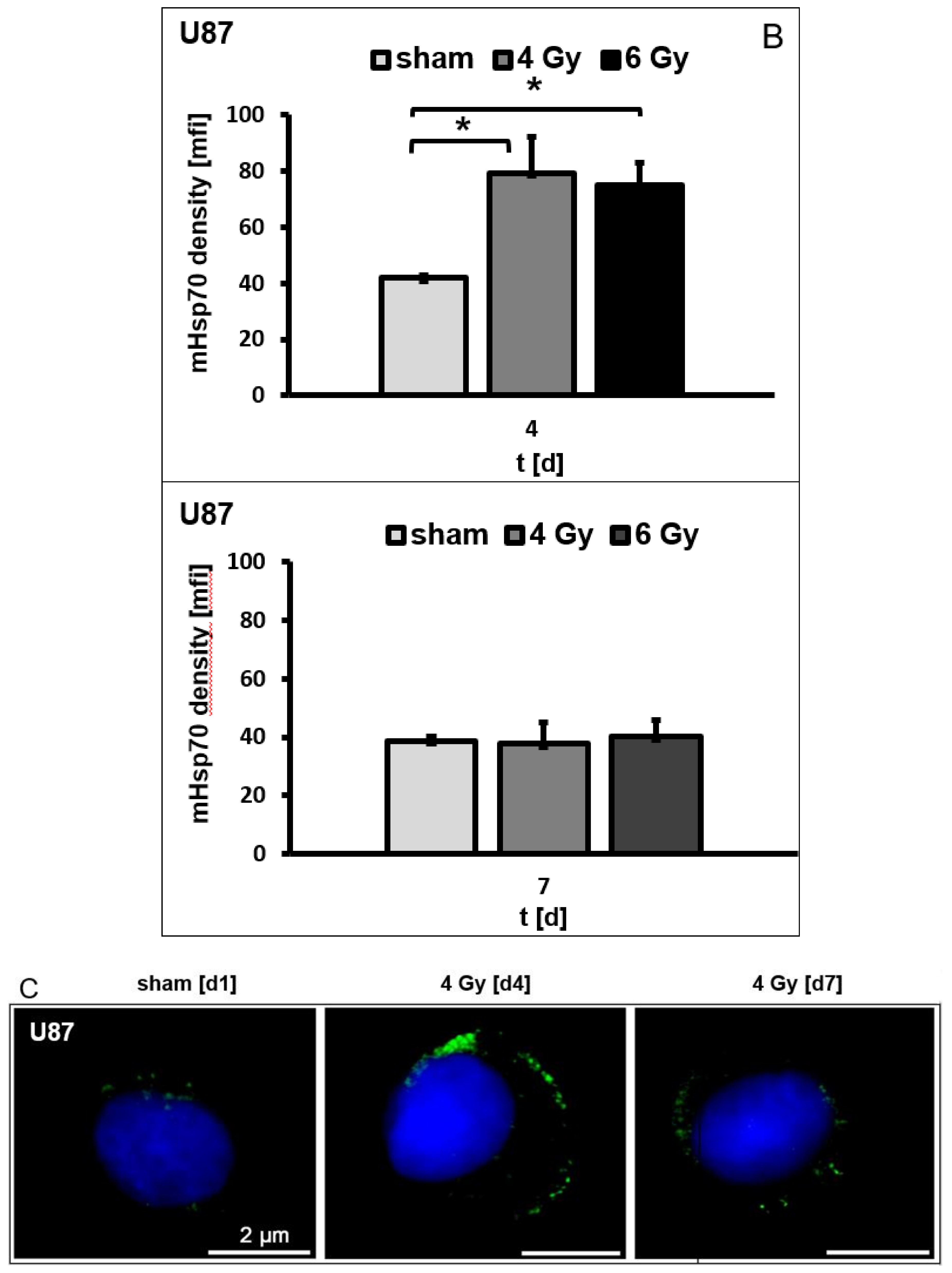 Cells 09 00912 g003b Cells 09 00912 g003b