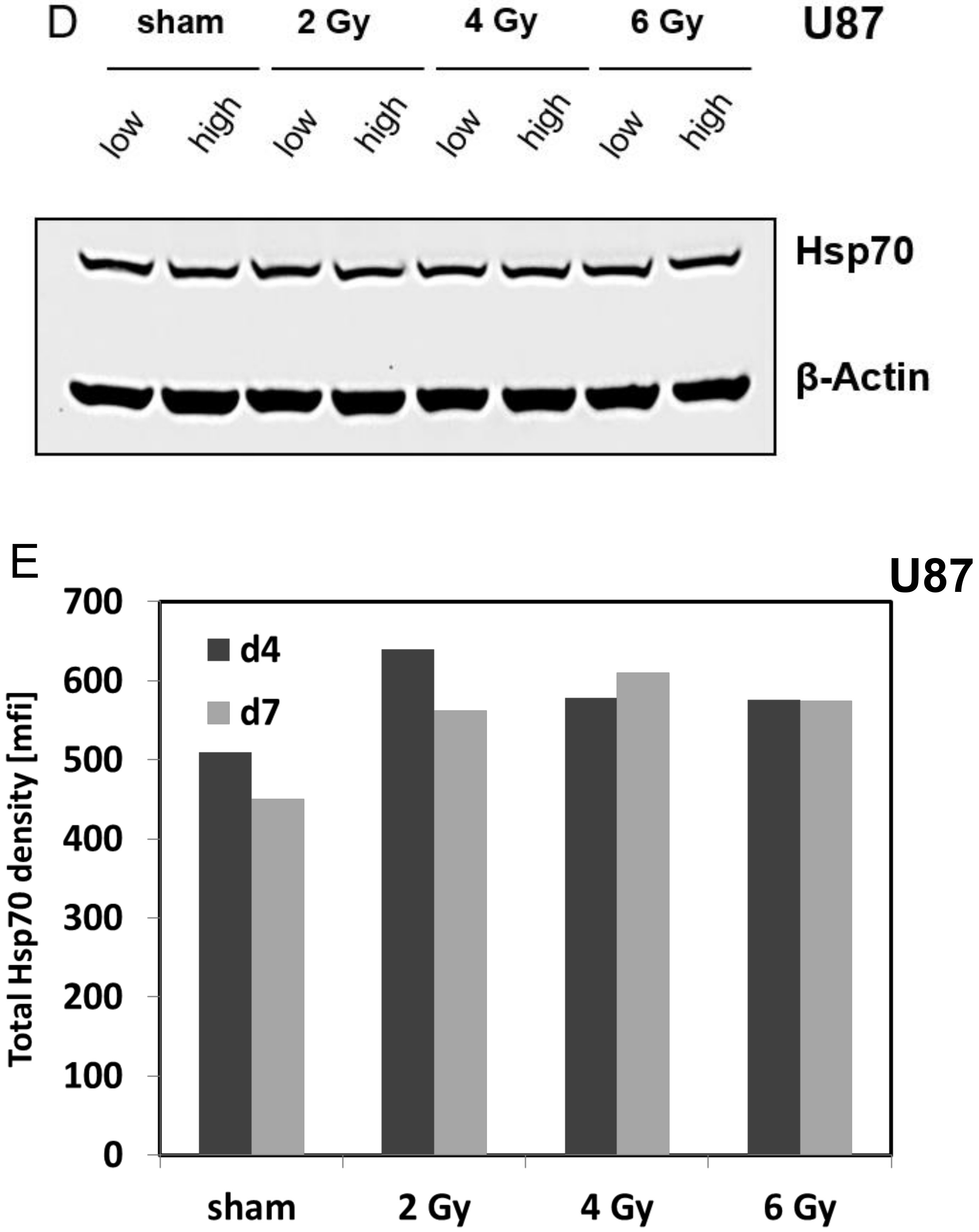 Cells 09 00912 g003c Cells 09 00912 g003c