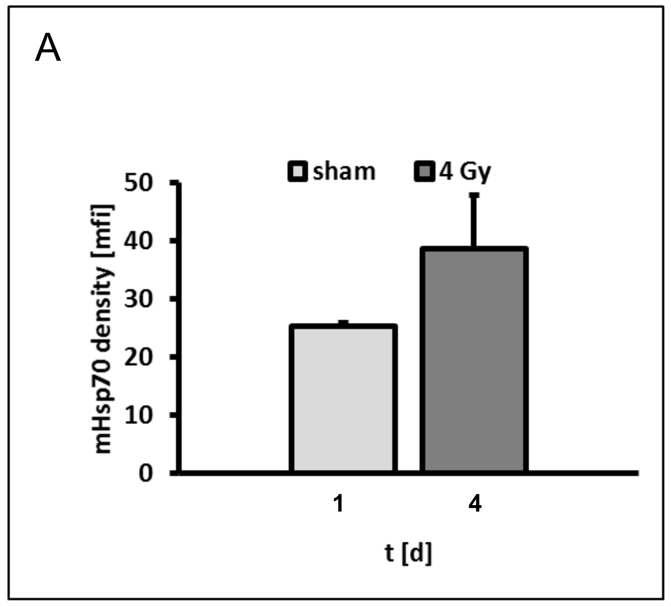 Cells 09 00912 g006a Cells 09 00912 g006a