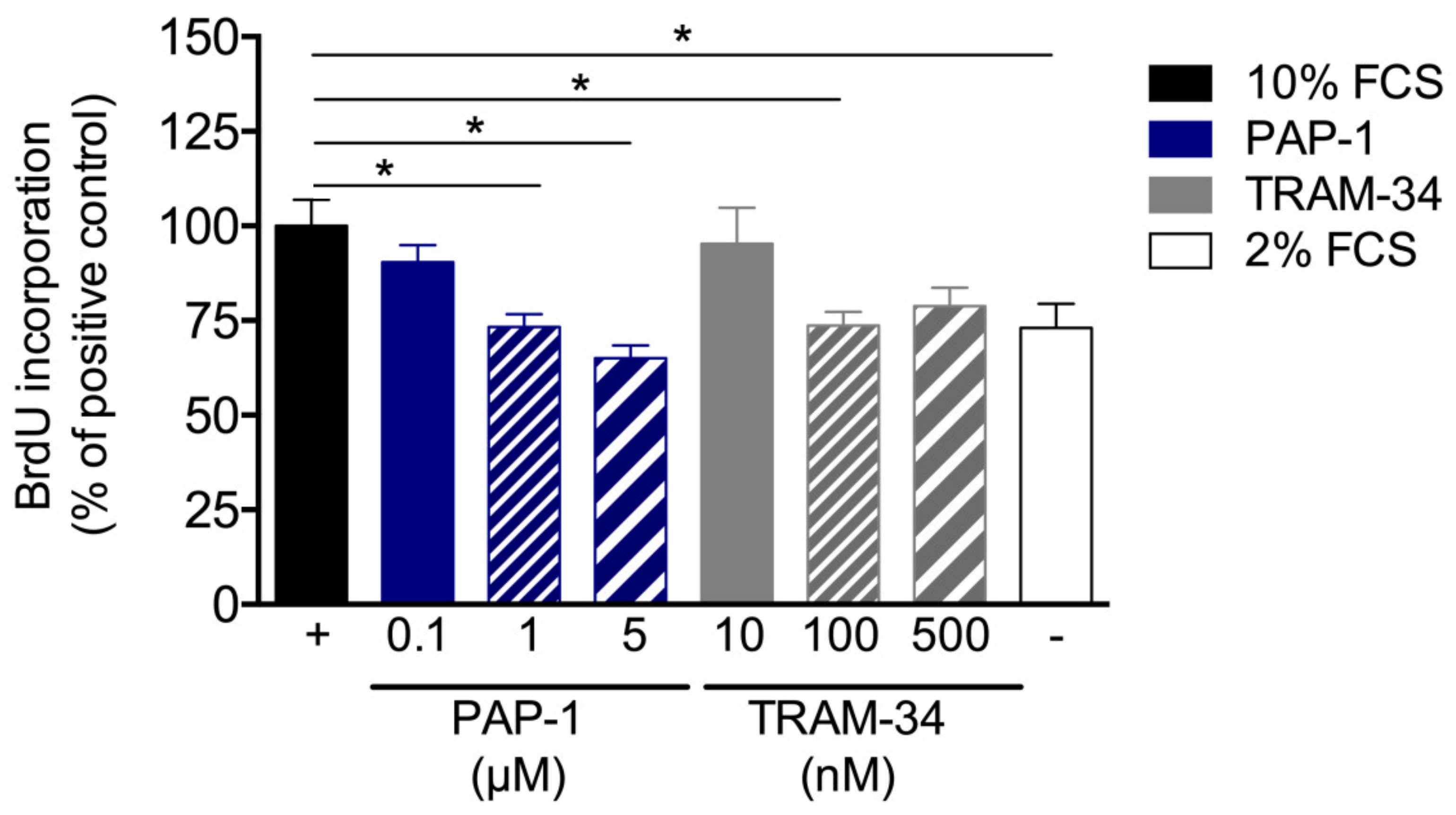 Cells 09 00913 g007 Cells 09 00913 g007
