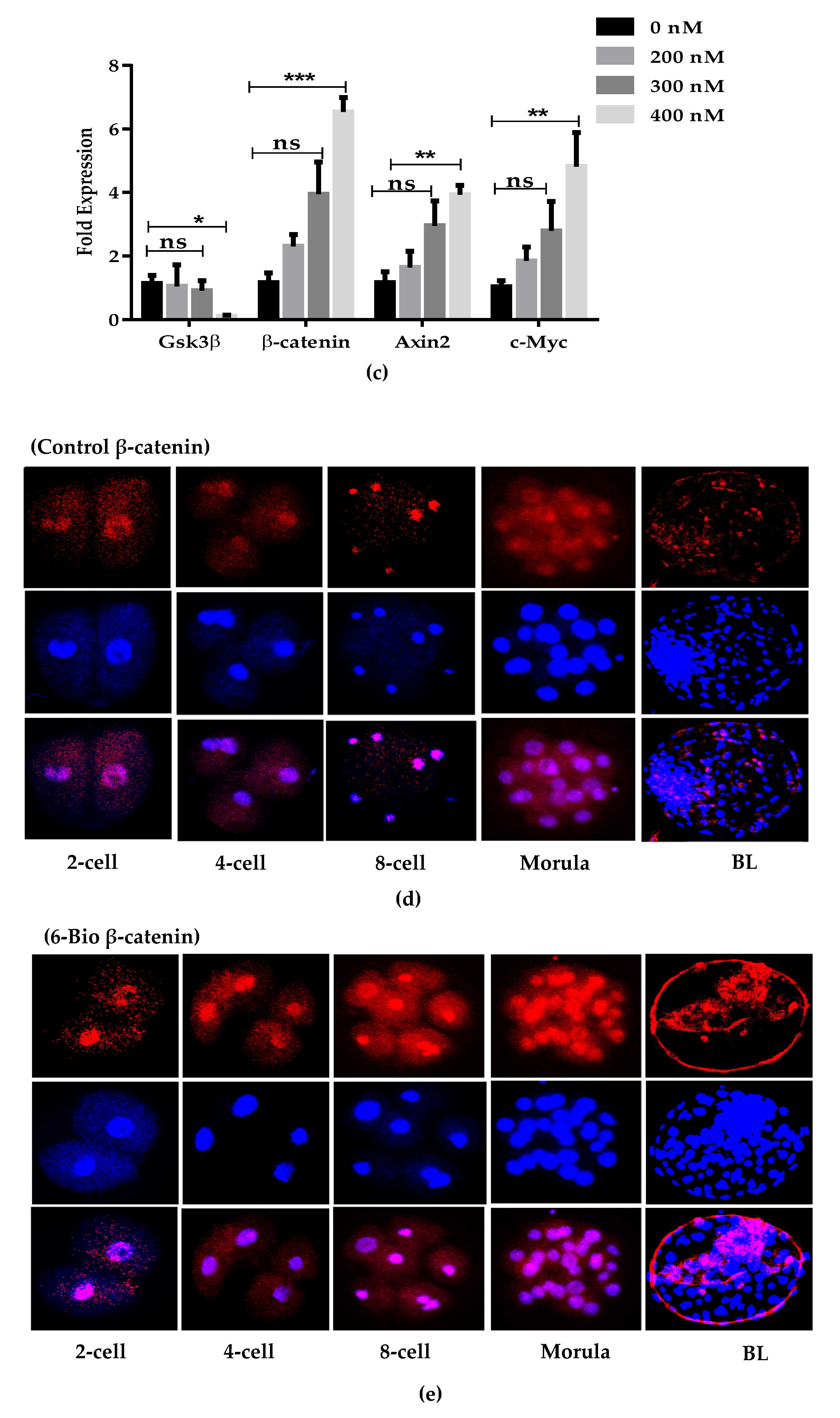 Cells 09 00923 g001b