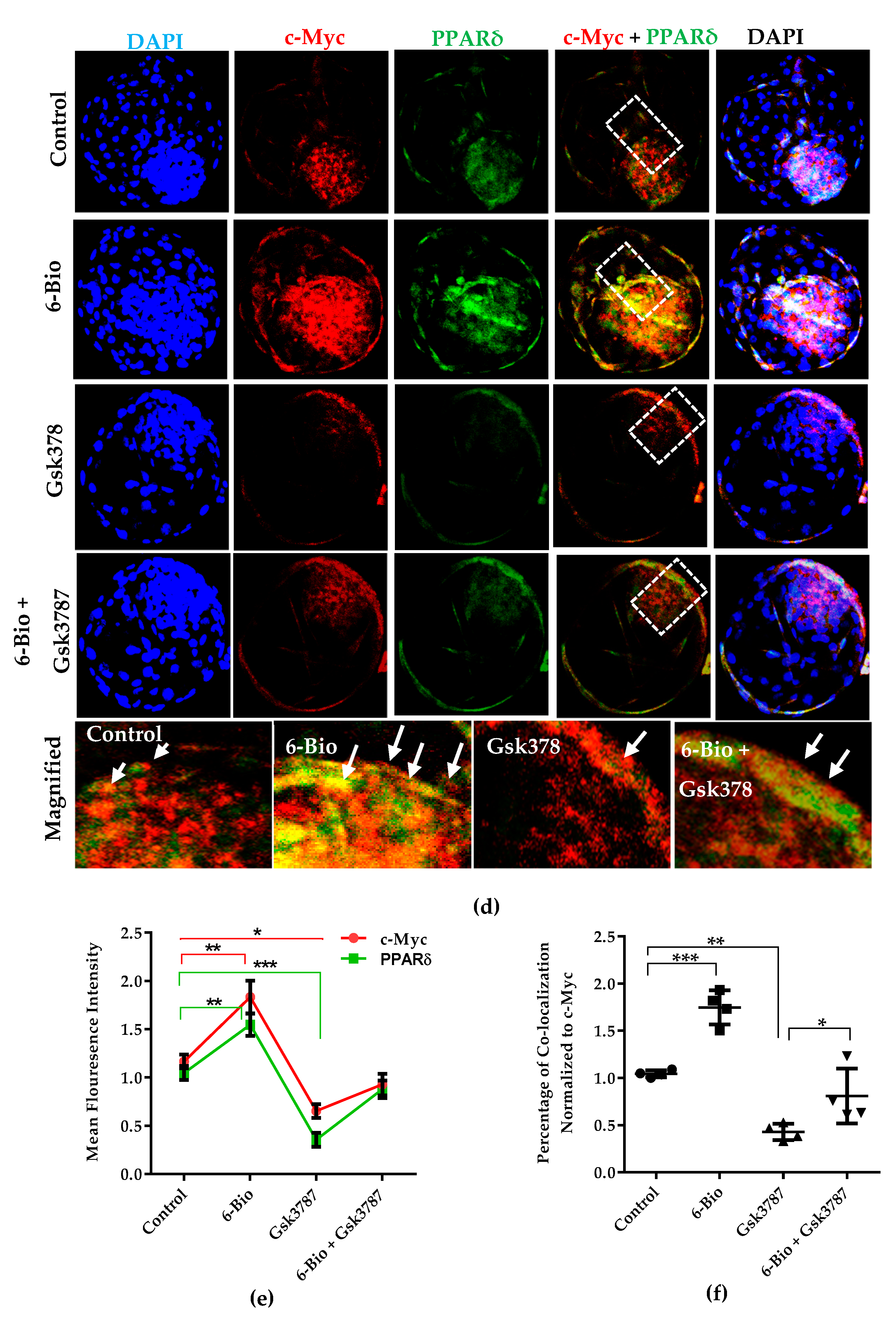 Cells 09 00923 g004b