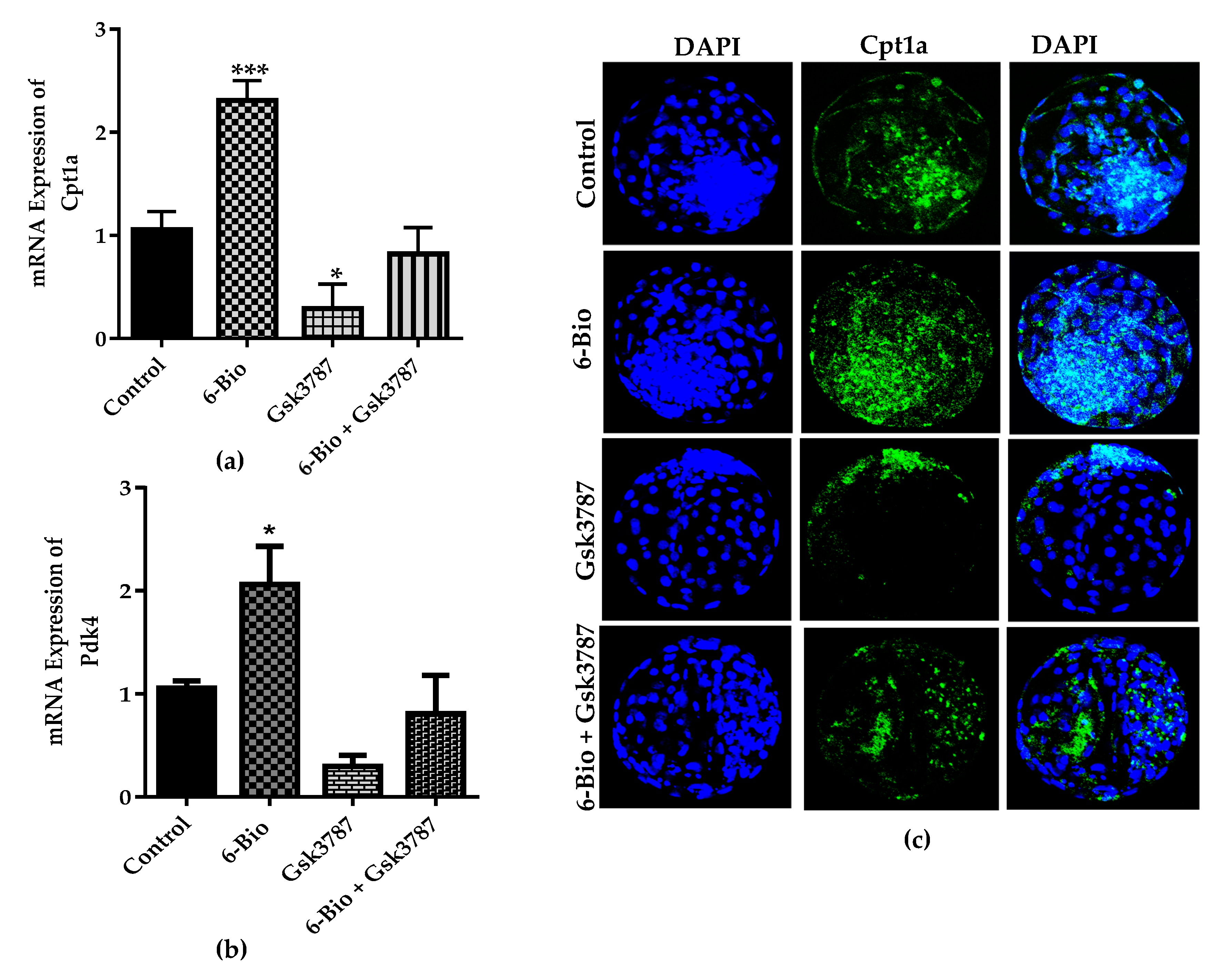Cells 09 00923 g005a