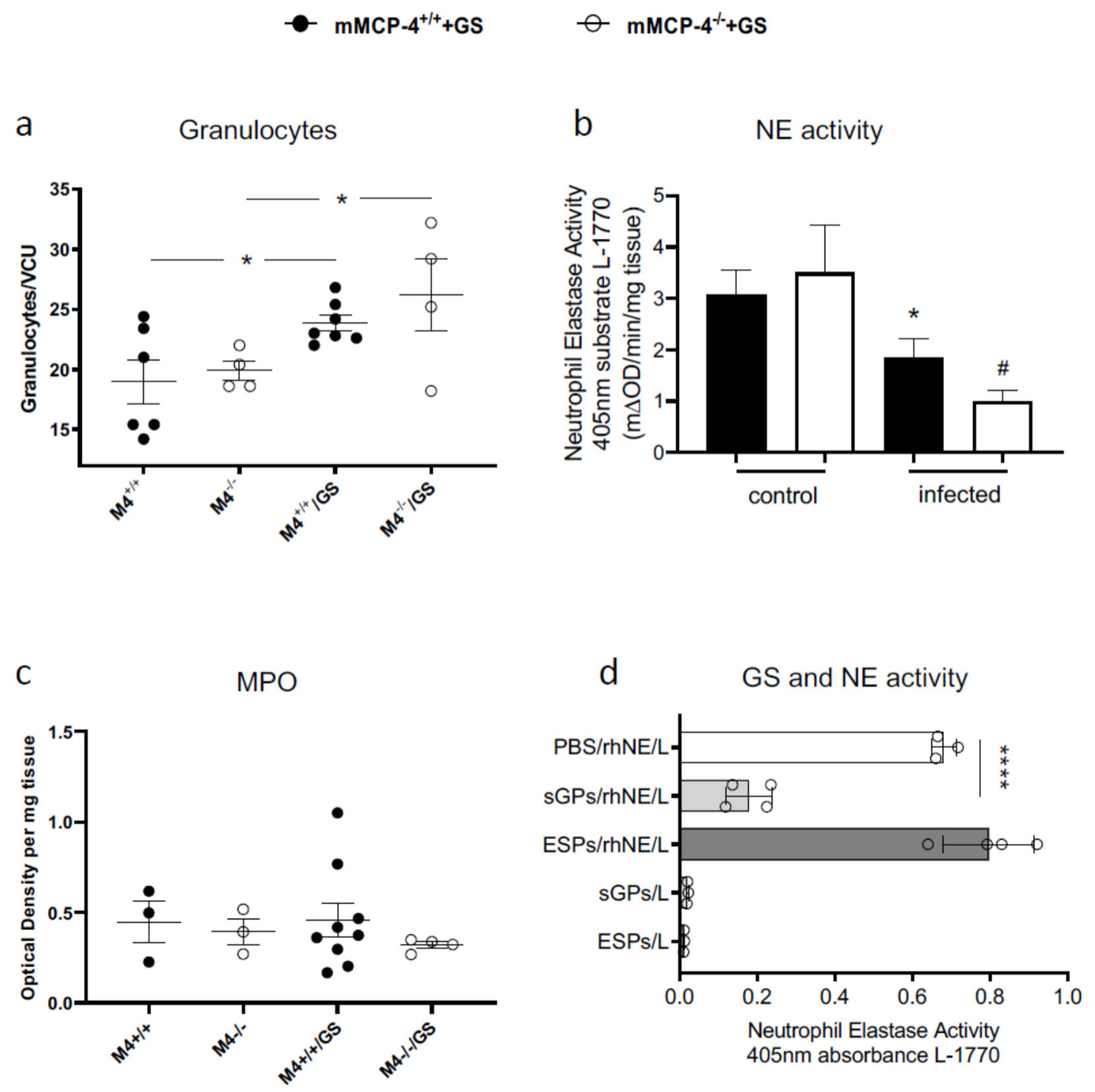Cells 09 00925 g003 Cells 09 00925 g003