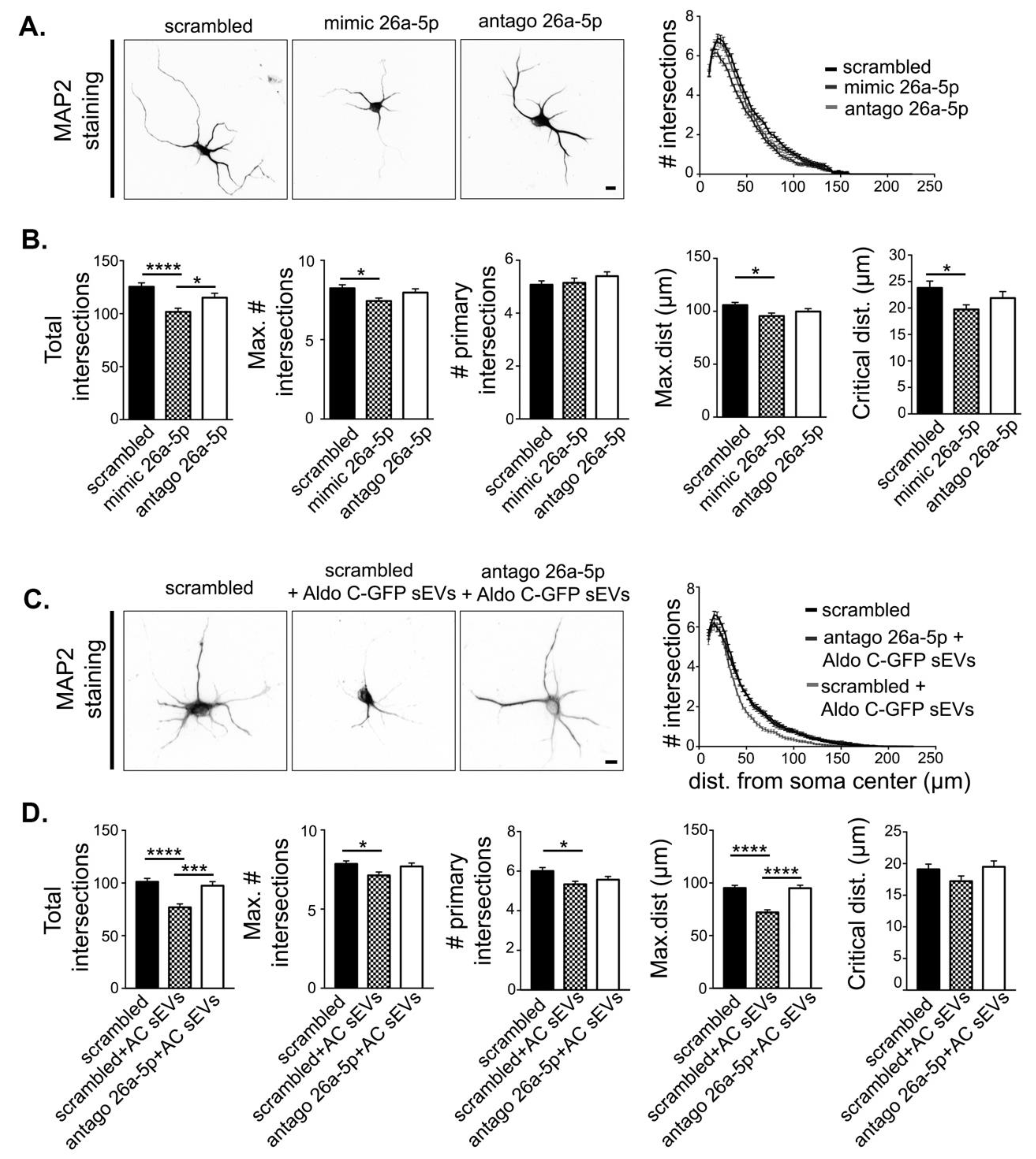 Cells 09 00930 g004 Cells 09 00930 g004