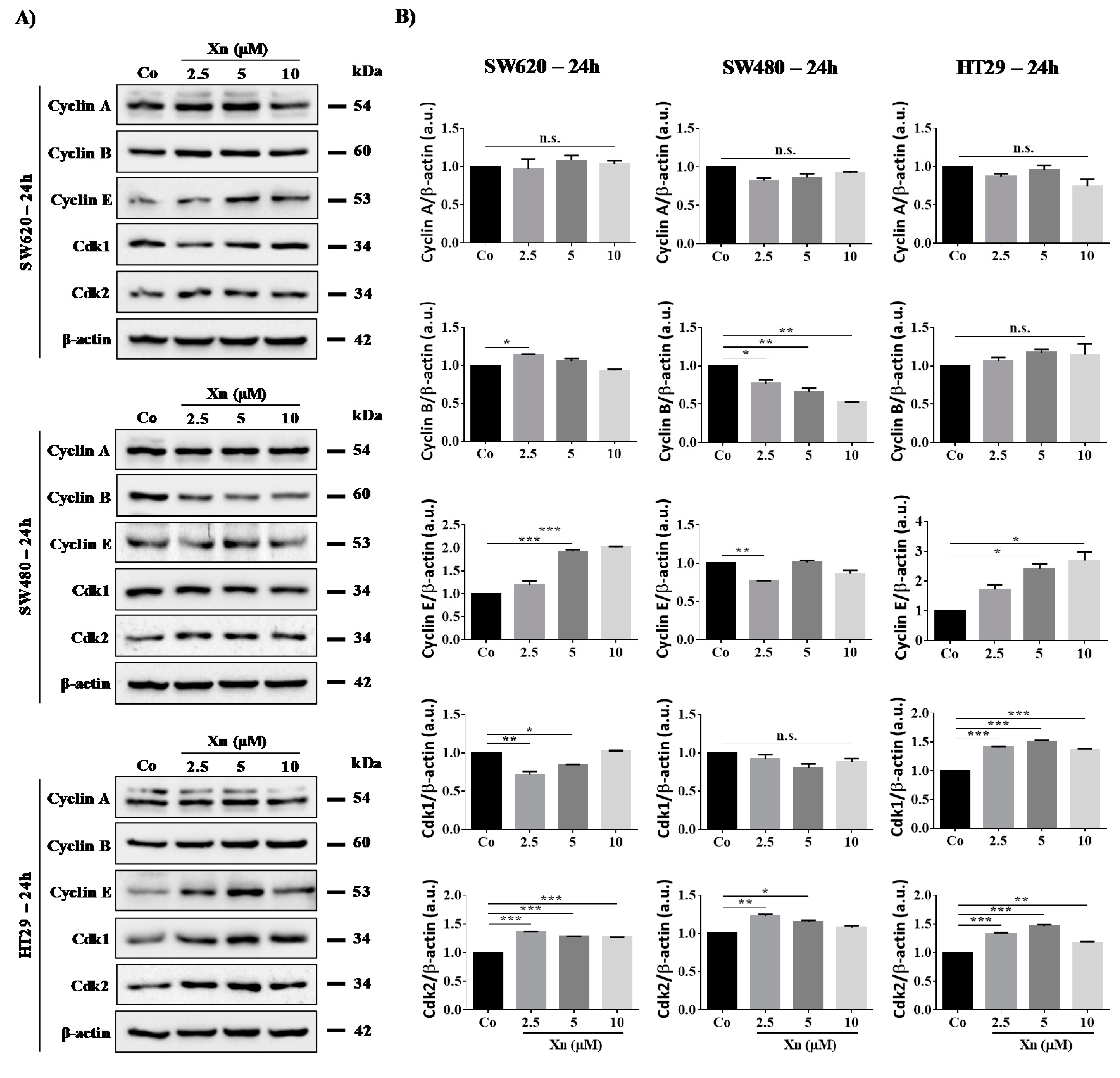 Cells 09 00932 g003 Cells 09 00932 g003