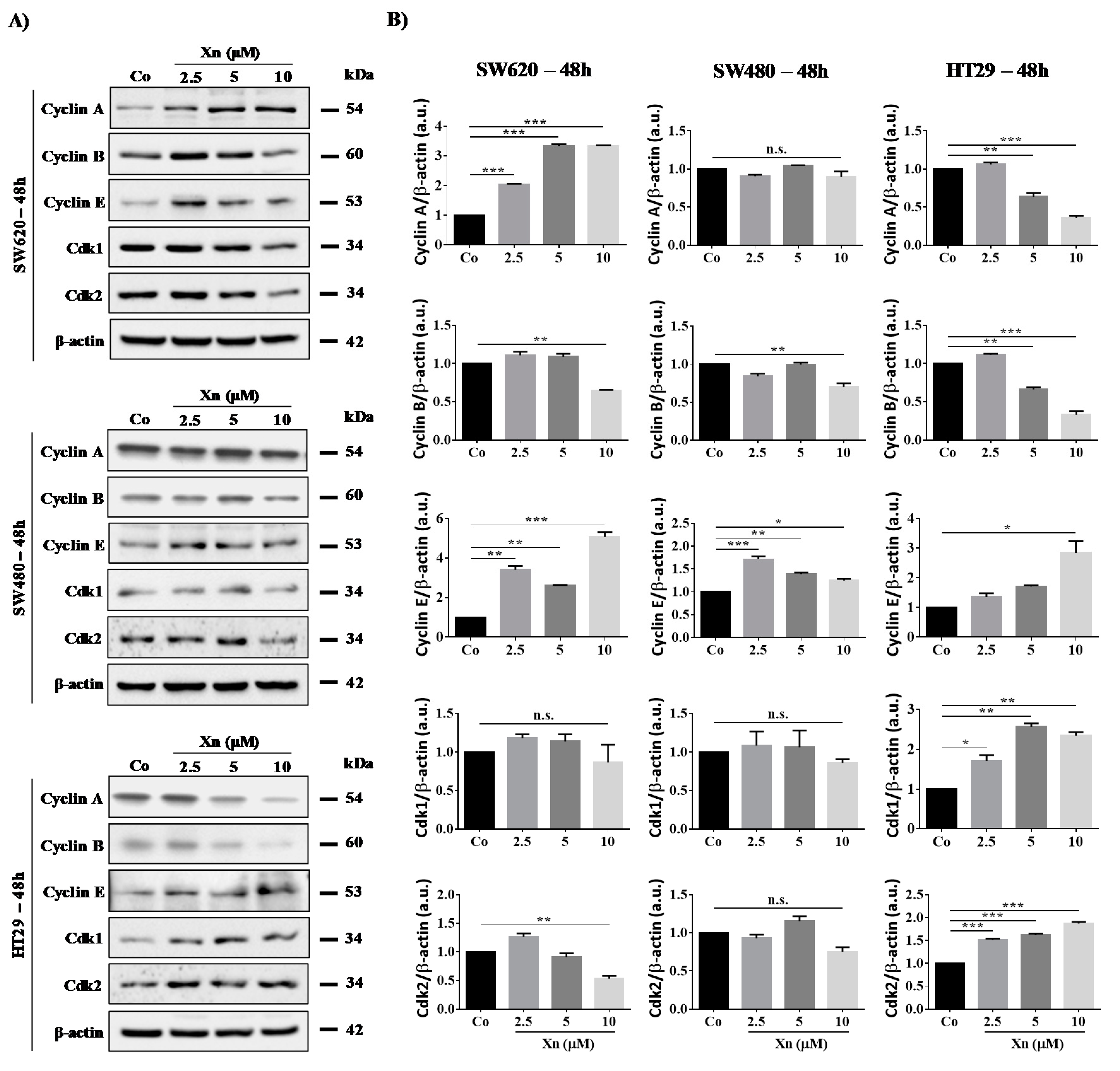 Cells 09 00932 g004 Cells 09 00932 g004